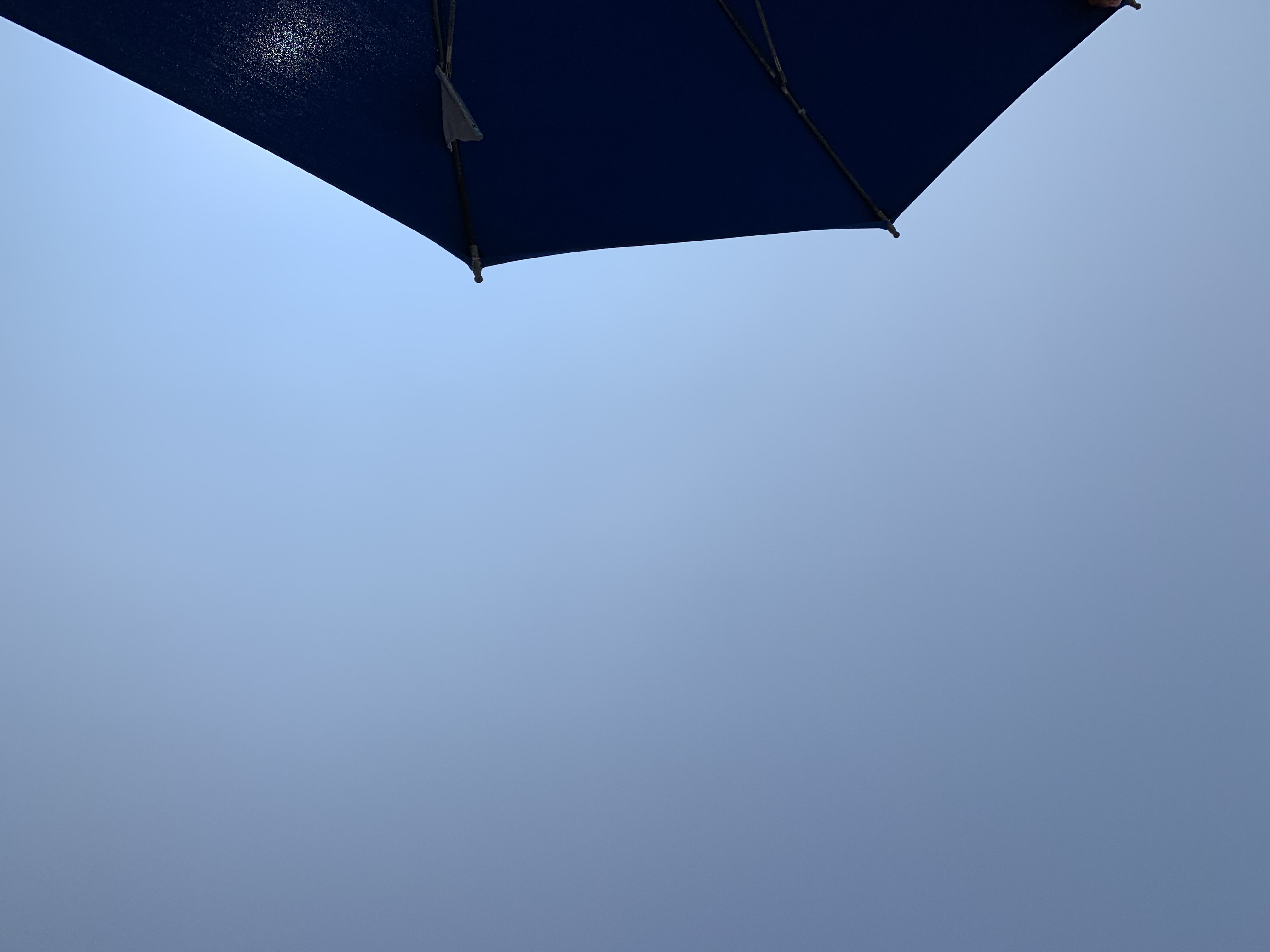 ロングビーチ行ってきたよ