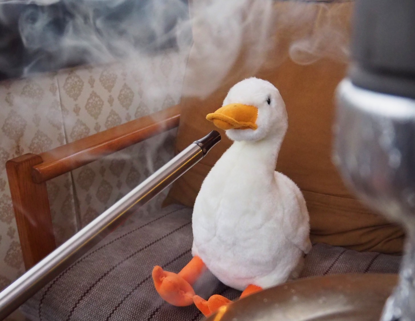 があこのおでかけ滋賀 vol.4　shisha cafe  HUMO