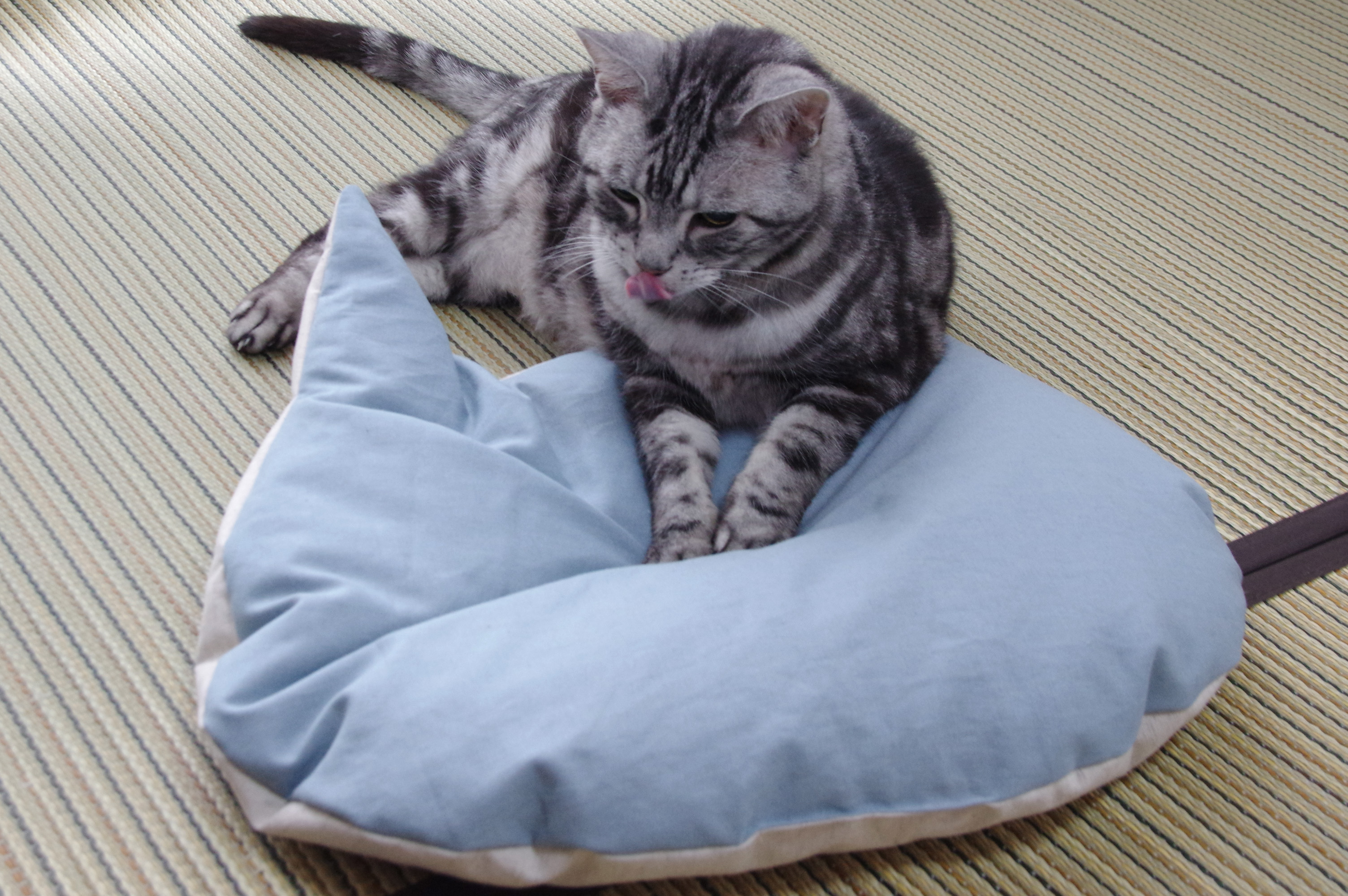 夏向けに涼感の麻生地で猫座布団を作っちゃいました