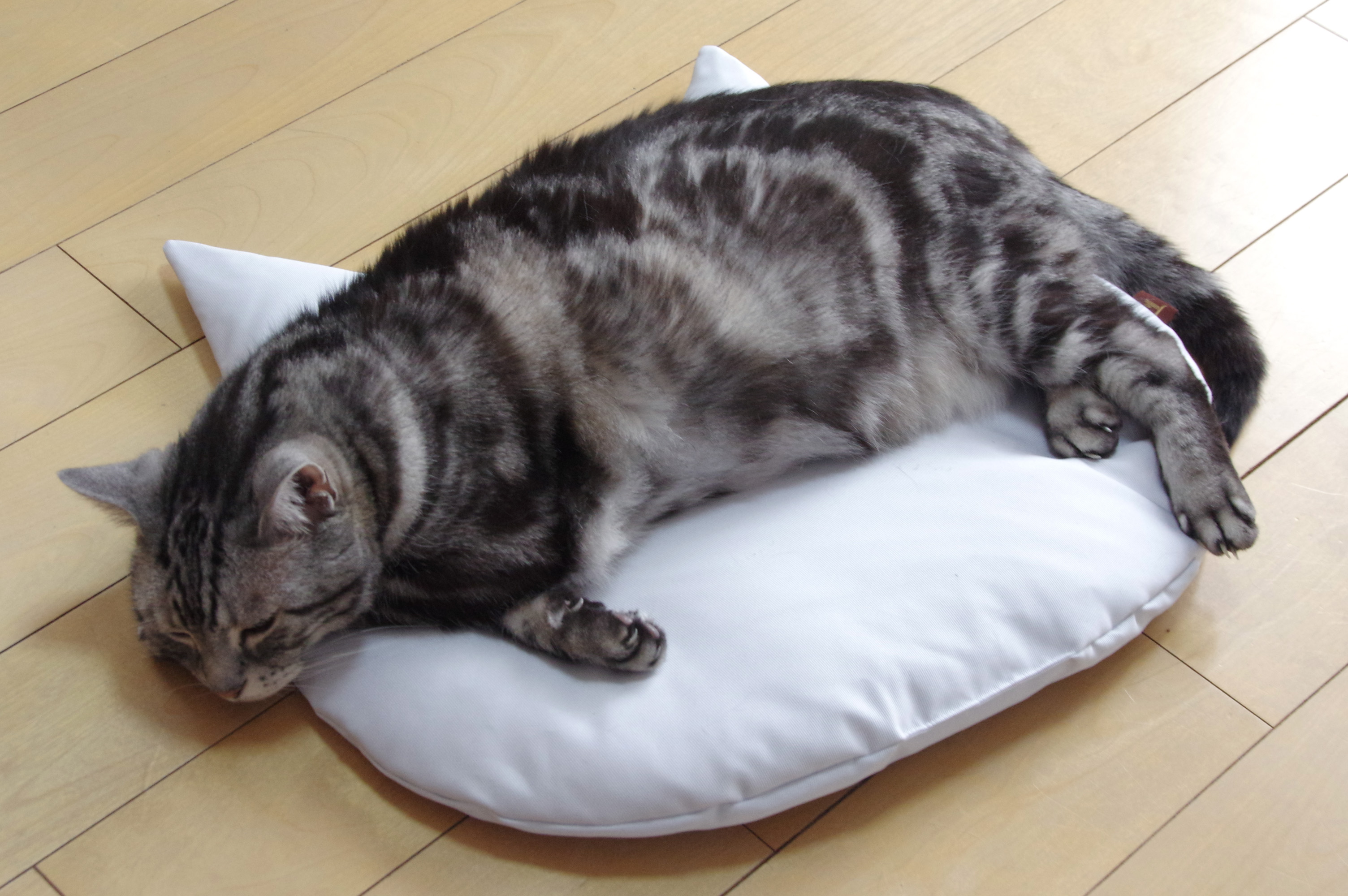 猫にも夏を快適にすごしてほしい！接触冷感生地の猫座布団