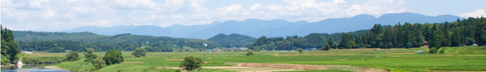 送料改訂のお知らせ