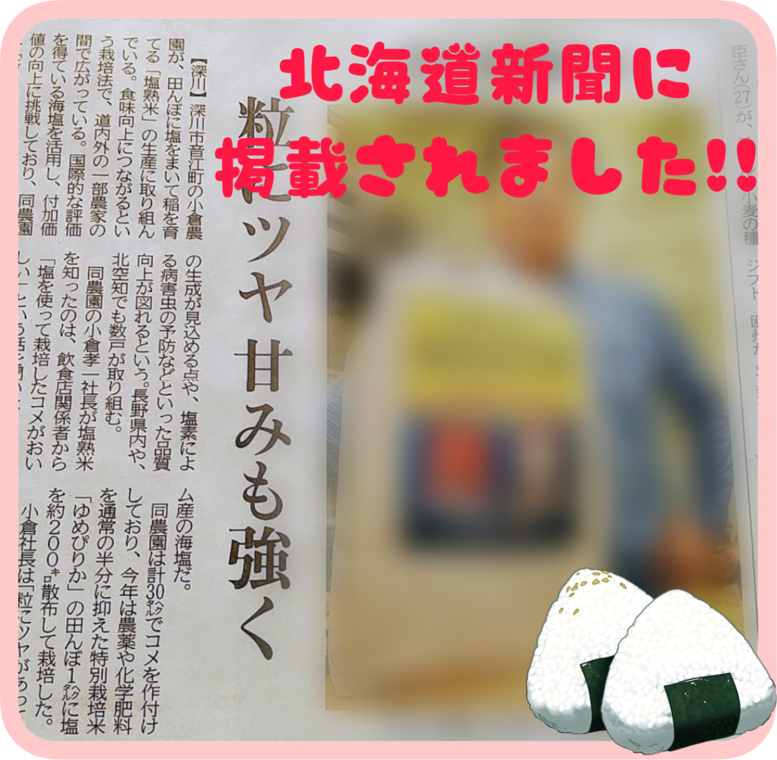 北海道新聞に掲載!!