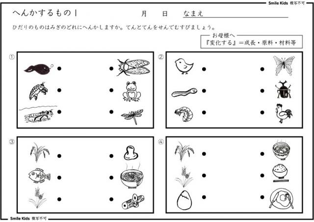 教材（変化するもの）