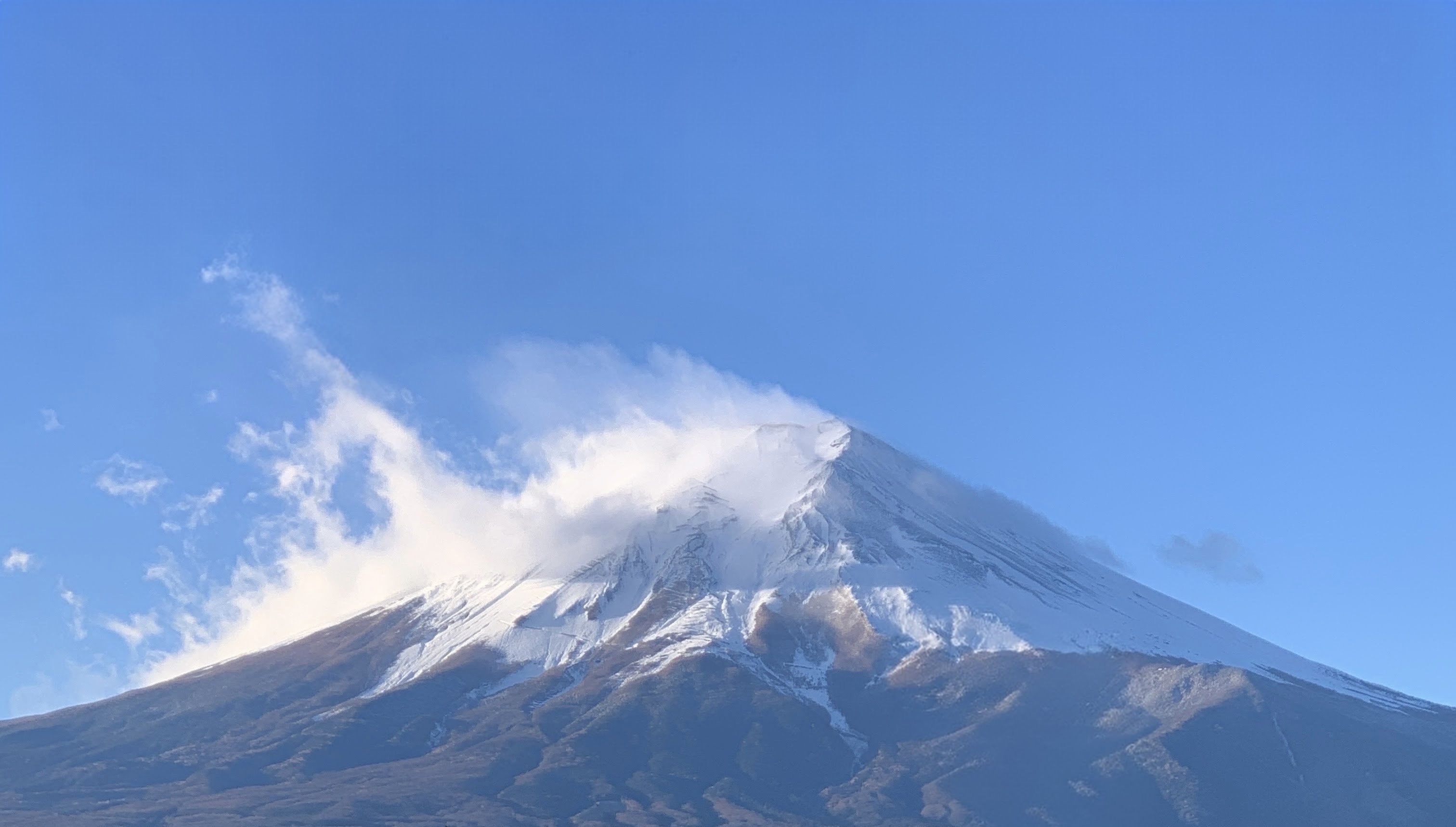 新年のご挨拶