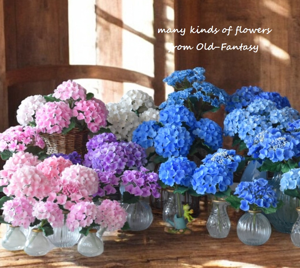 【紫陽花】紫陽花の花で可愛らしく