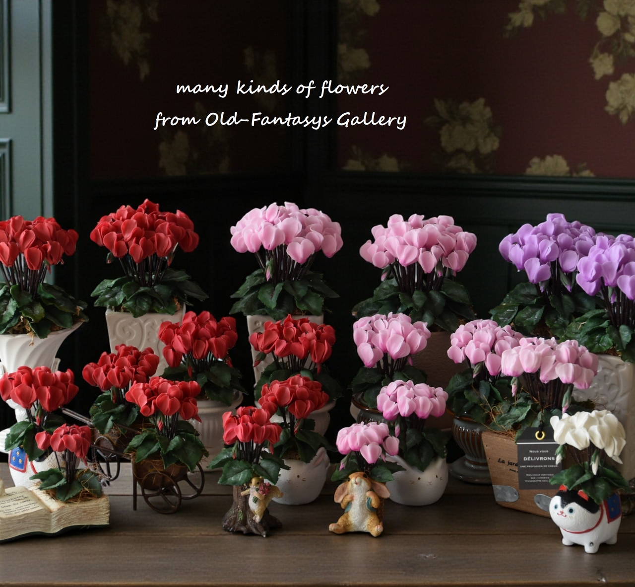 【シクラメン】凛としてやさしく、冬を彩る花