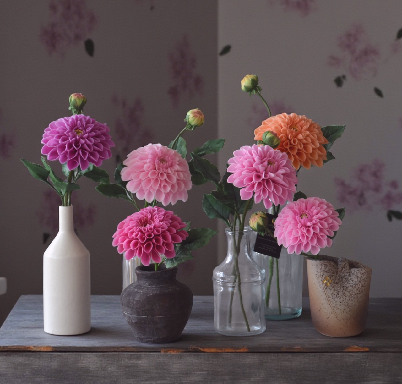 【ダリア】一輪で絵になる、華やぎの花