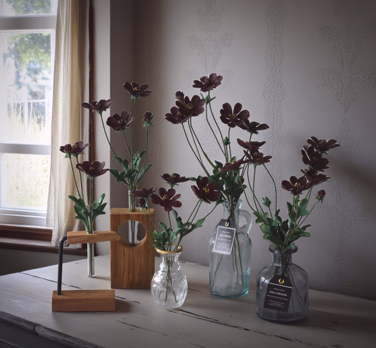 【チョコレートコスモス】甘く香る秋の贈りもの、チョコレートコスモス