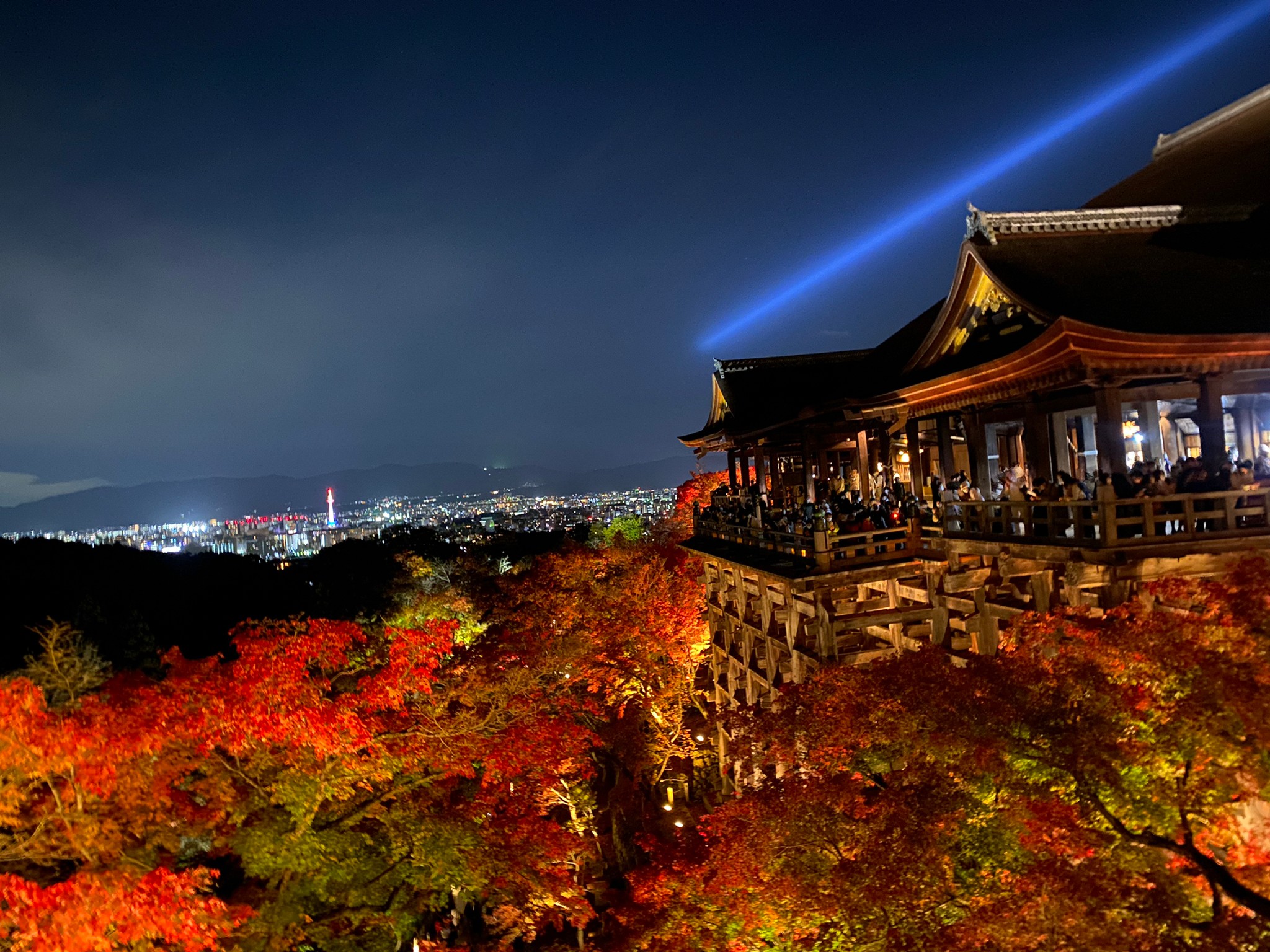 伝統工芸×紅葉