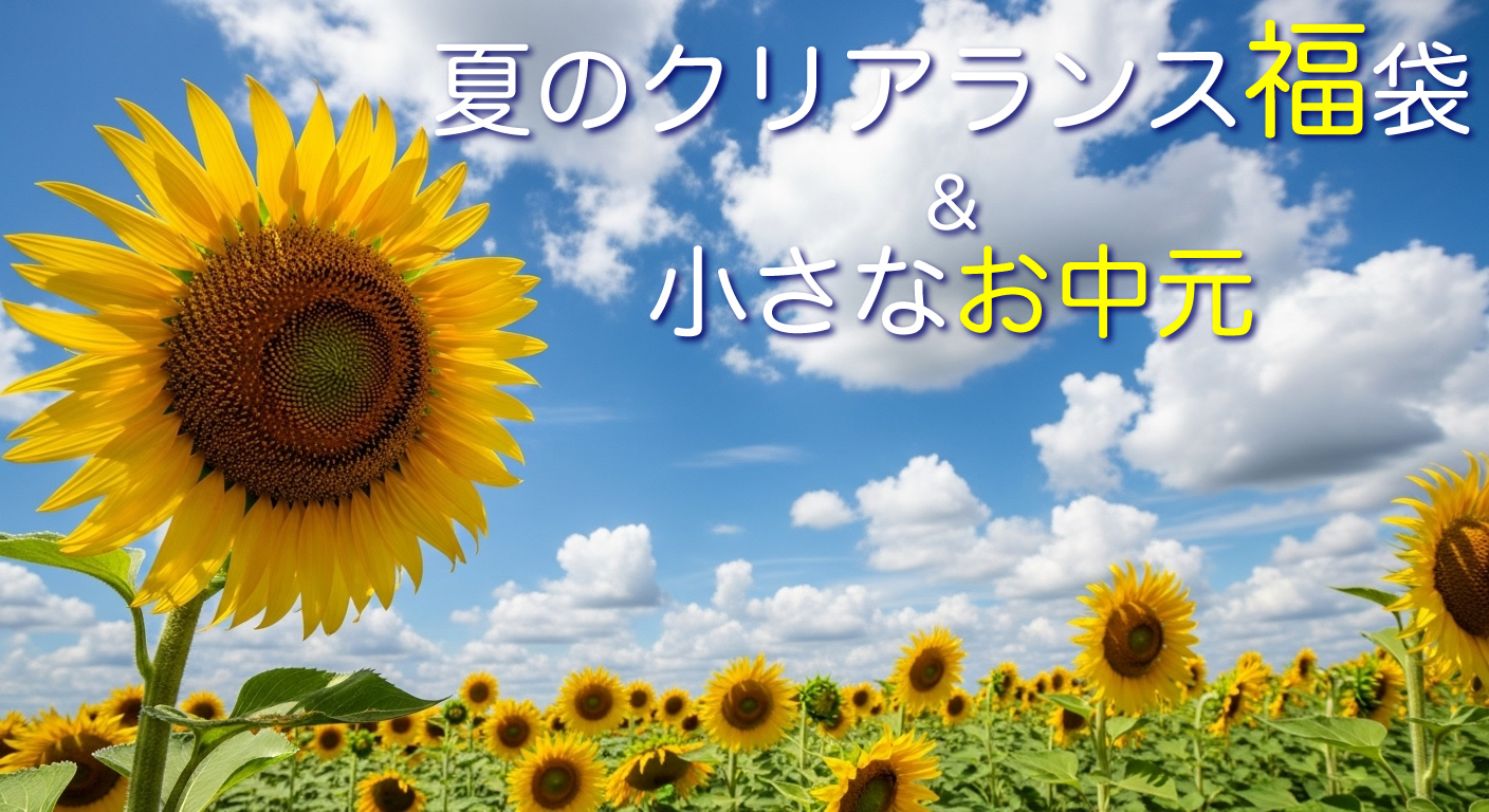 夏のクリアランス福袋＆小さなお中元 │オンライン7/10～│実店舗7/11～