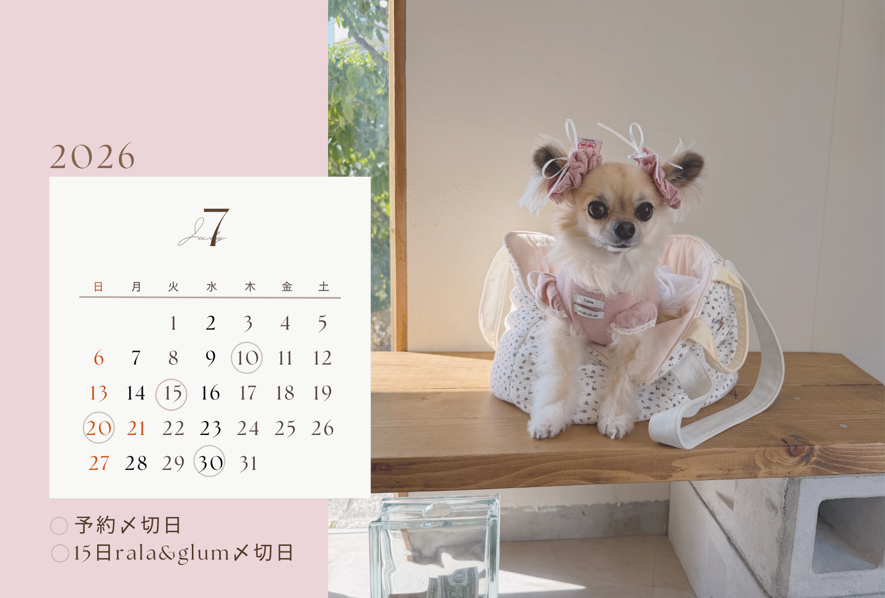 ■ 【利用規約②】予約〆切からお届けまでのスケジュール・配送について ■