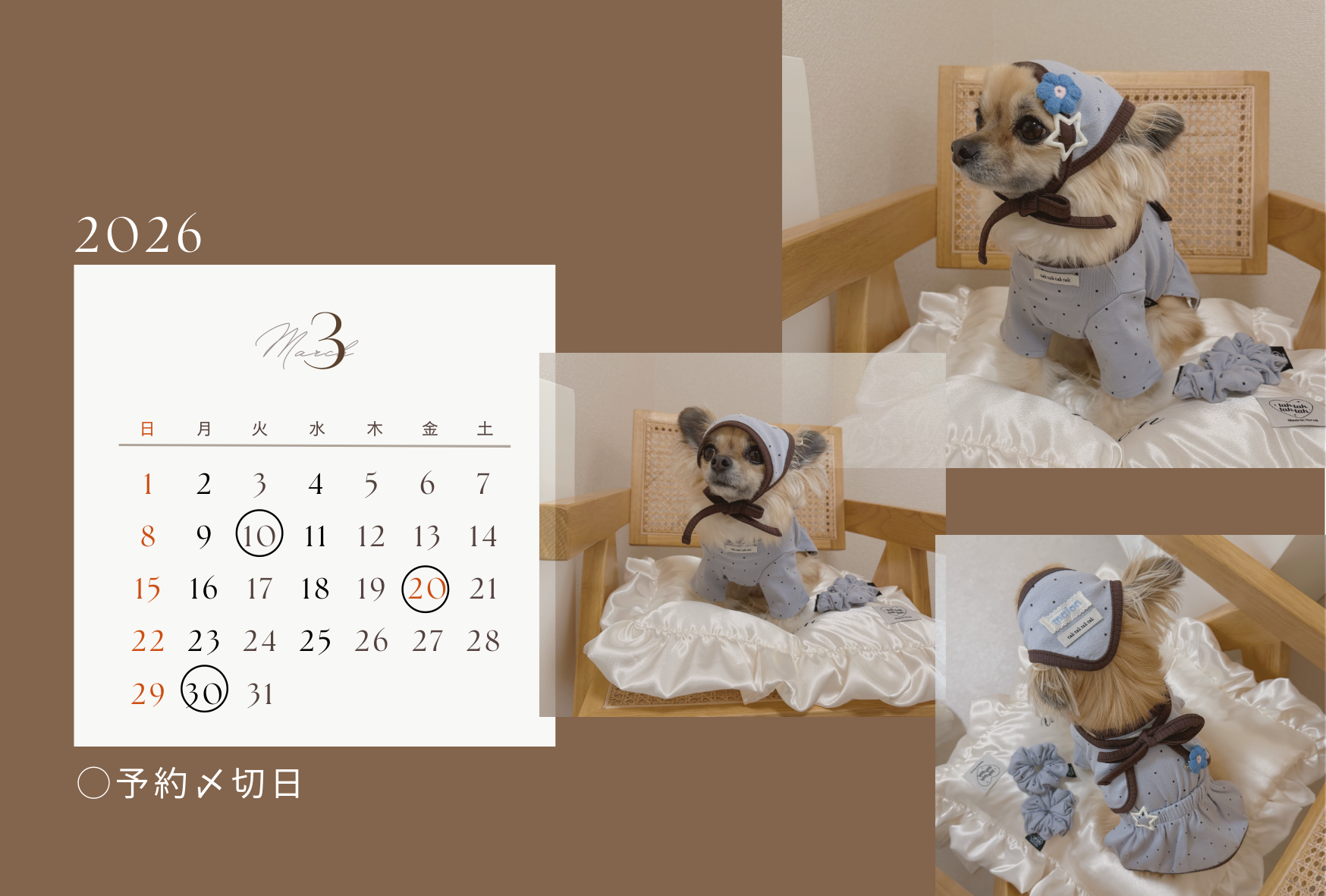 ■ 【利用規約②】予約〆切からお届けまでのスケジュール・配送について ■