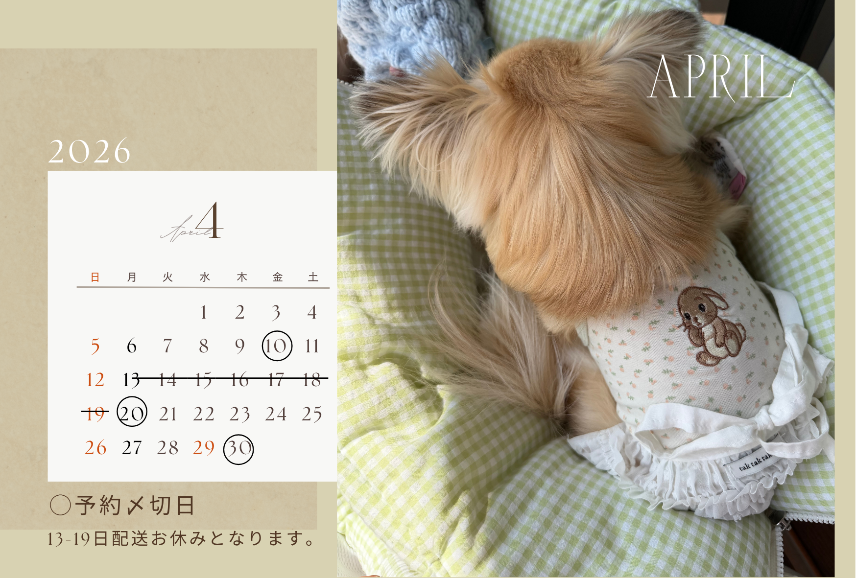 ■ 【利用規約②】予約〆切からお届けまでのスケジュール・配送について ■