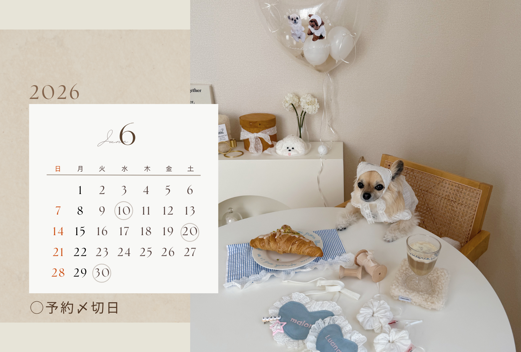 ■ 【利用規約②】予約〆切からお届けまでのスケジュール・配送について ■