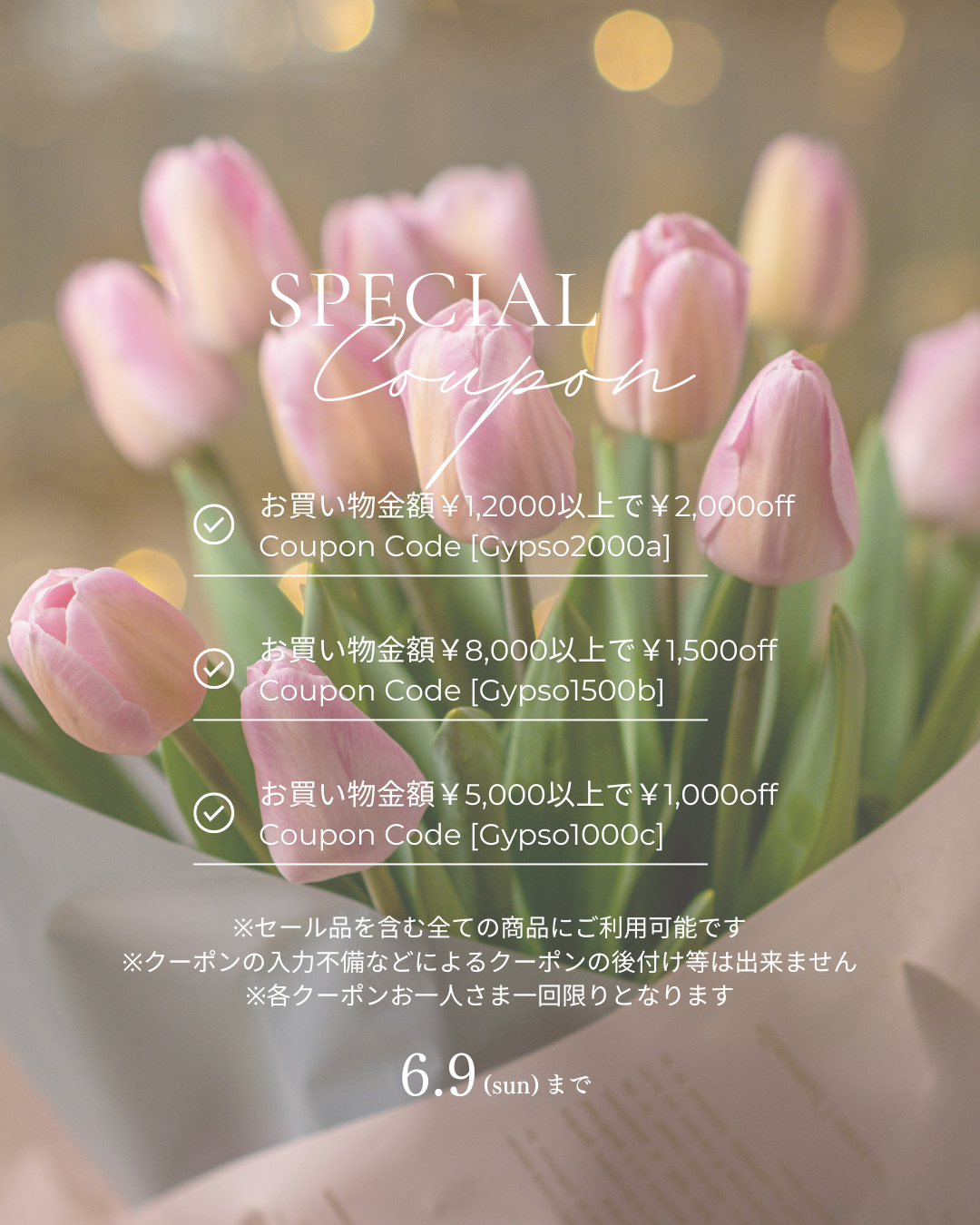 Special Coupon 6/9(sun)まで
