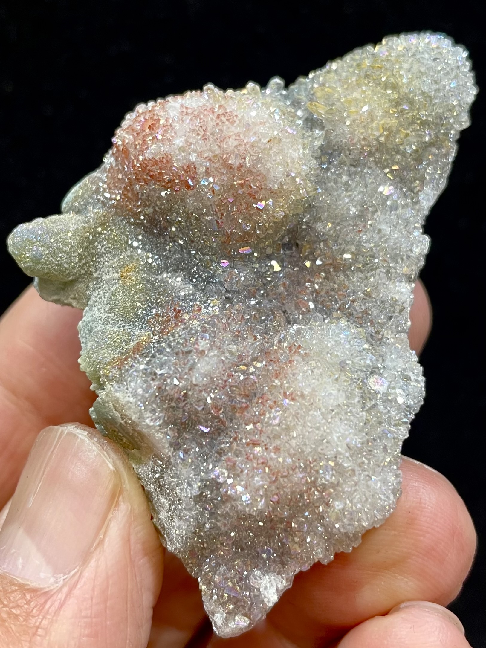 コスモオーラ・カクタスクオーツ