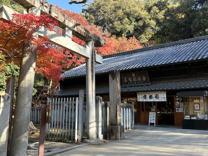 紅葉が見頃