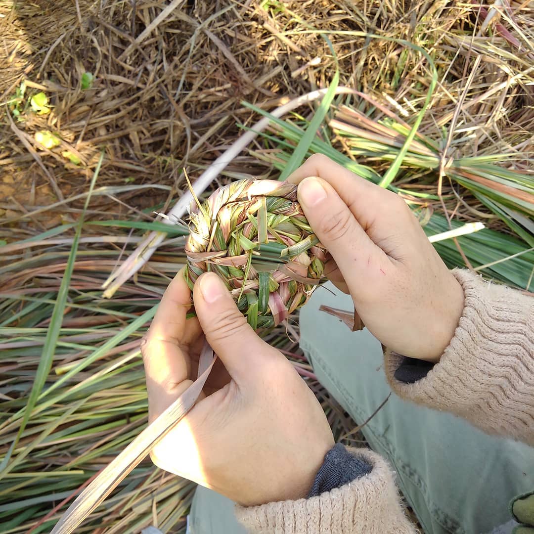 本年もよろしくお願いします＊