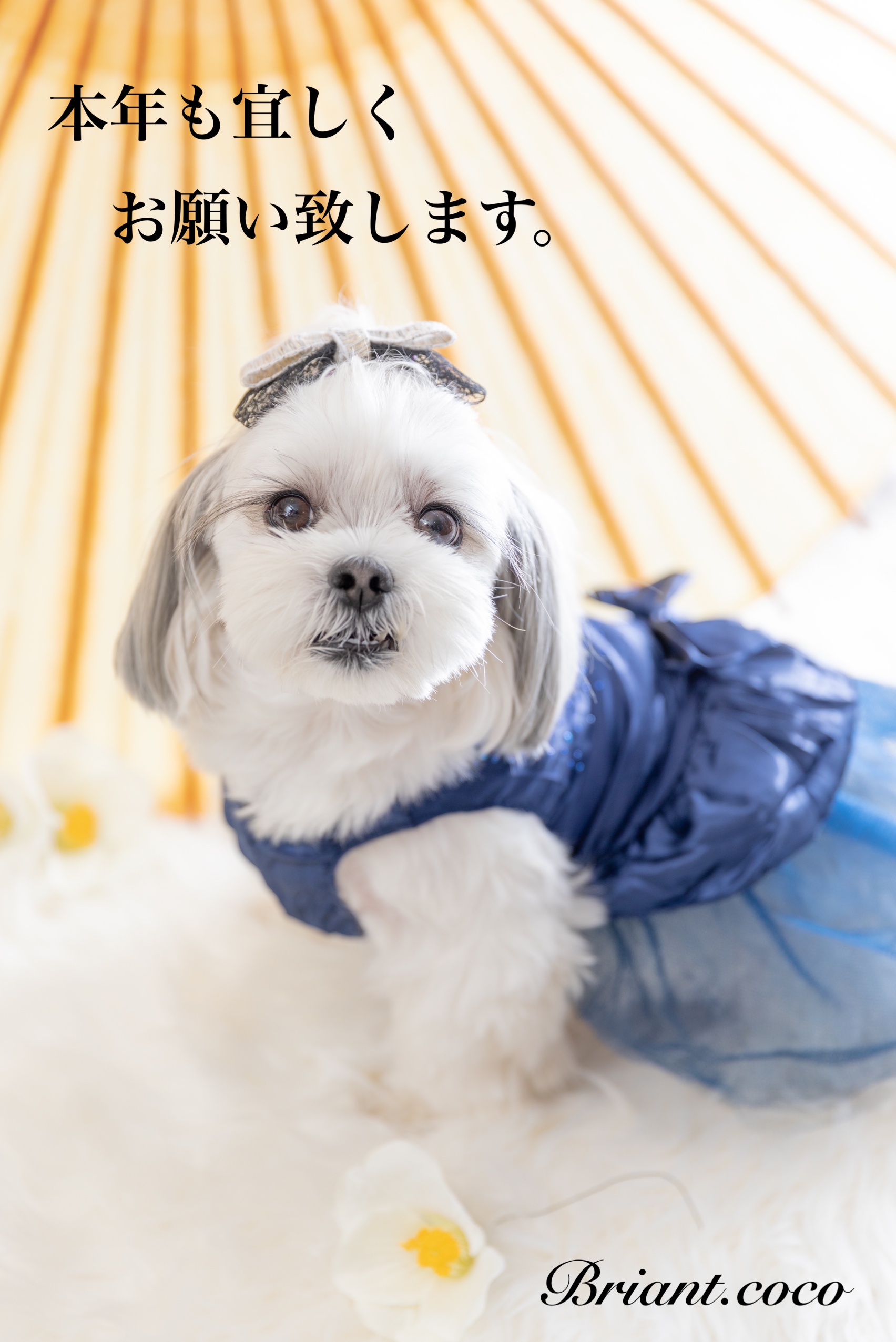 本年もよろしくお願い致します★