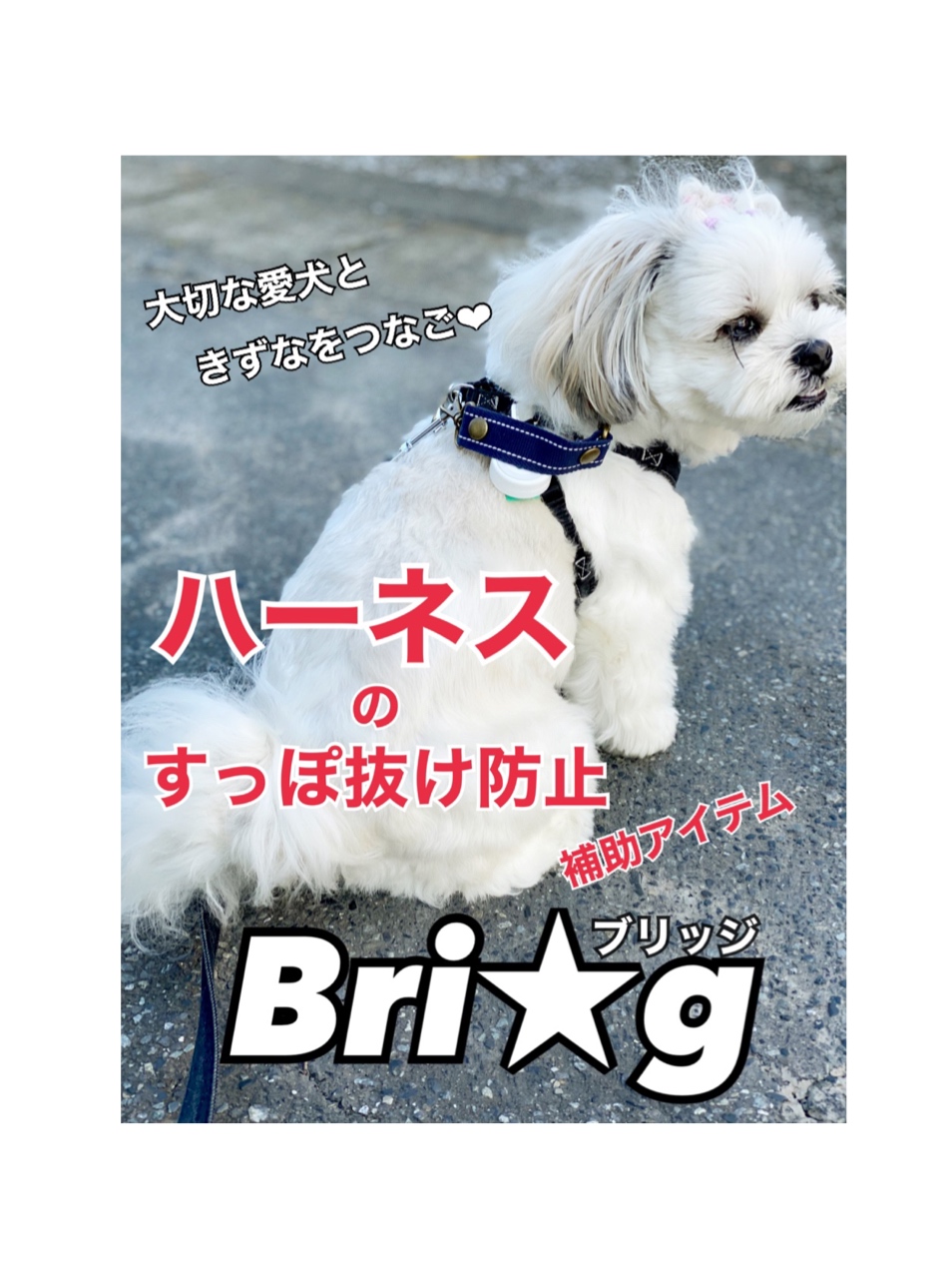 『Bri★g』すっぽ抜け防止対策補助アイテム完成！