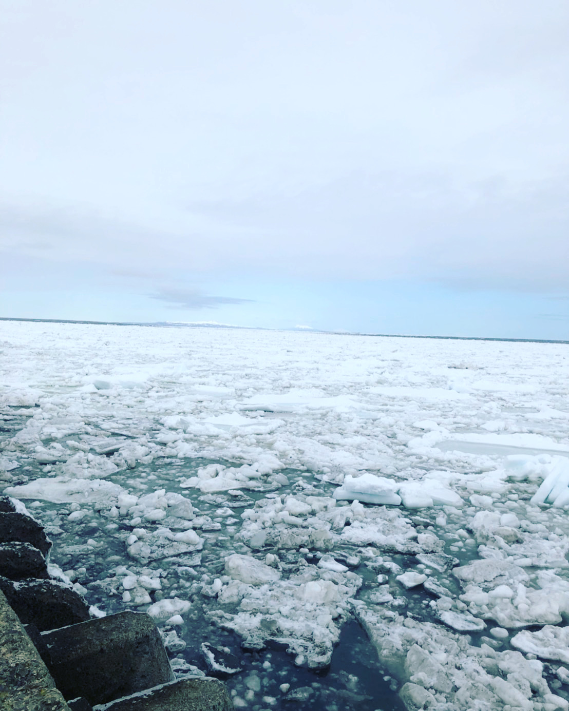 野付半島流氷接岸のため貝付きホタテ注文停止中です。