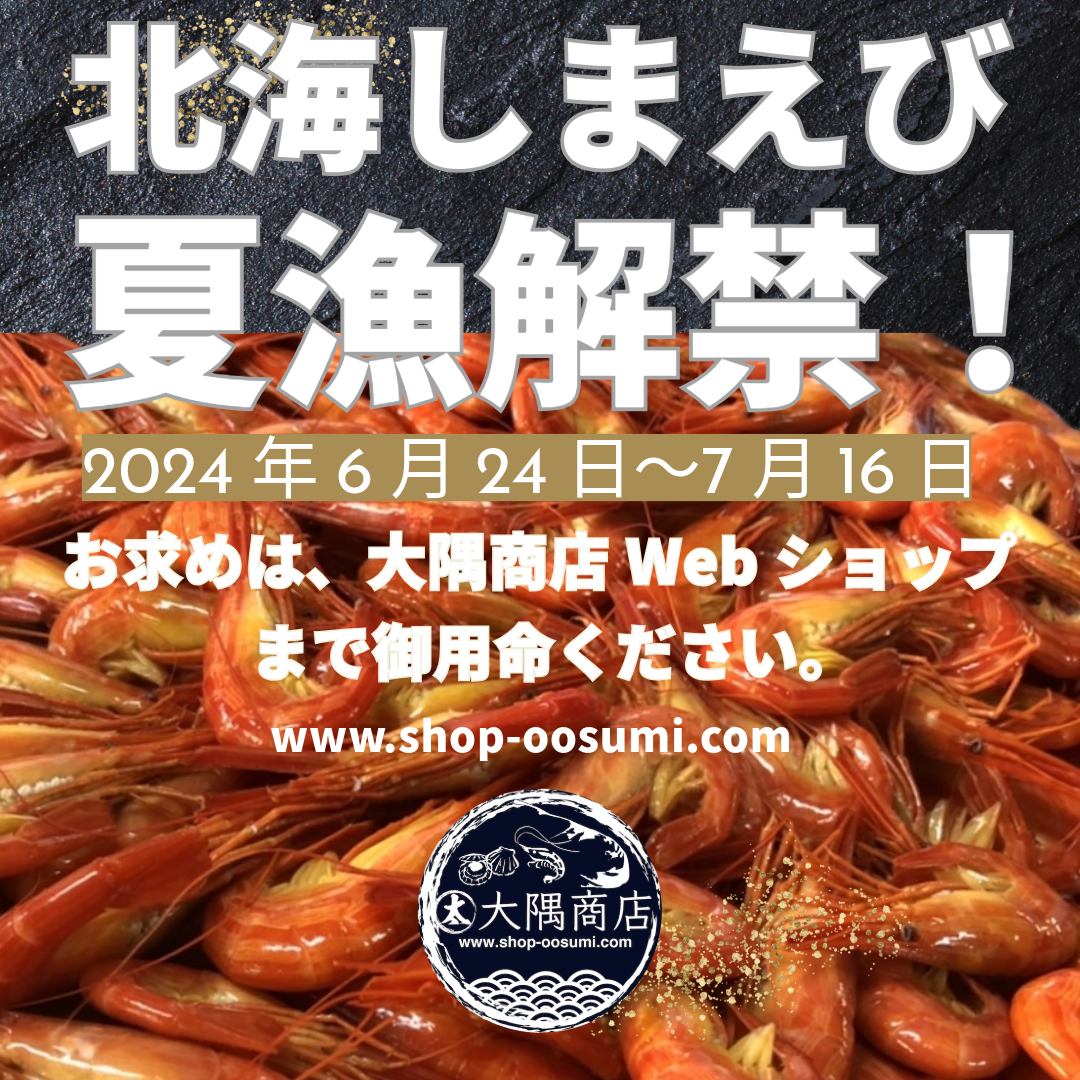夏の北海しまえび漁解禁です！
