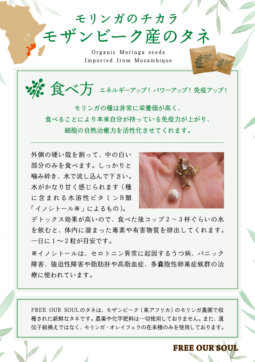 モザンビーク産のタネ 使い方