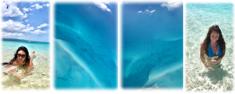 カリブの海の精霊