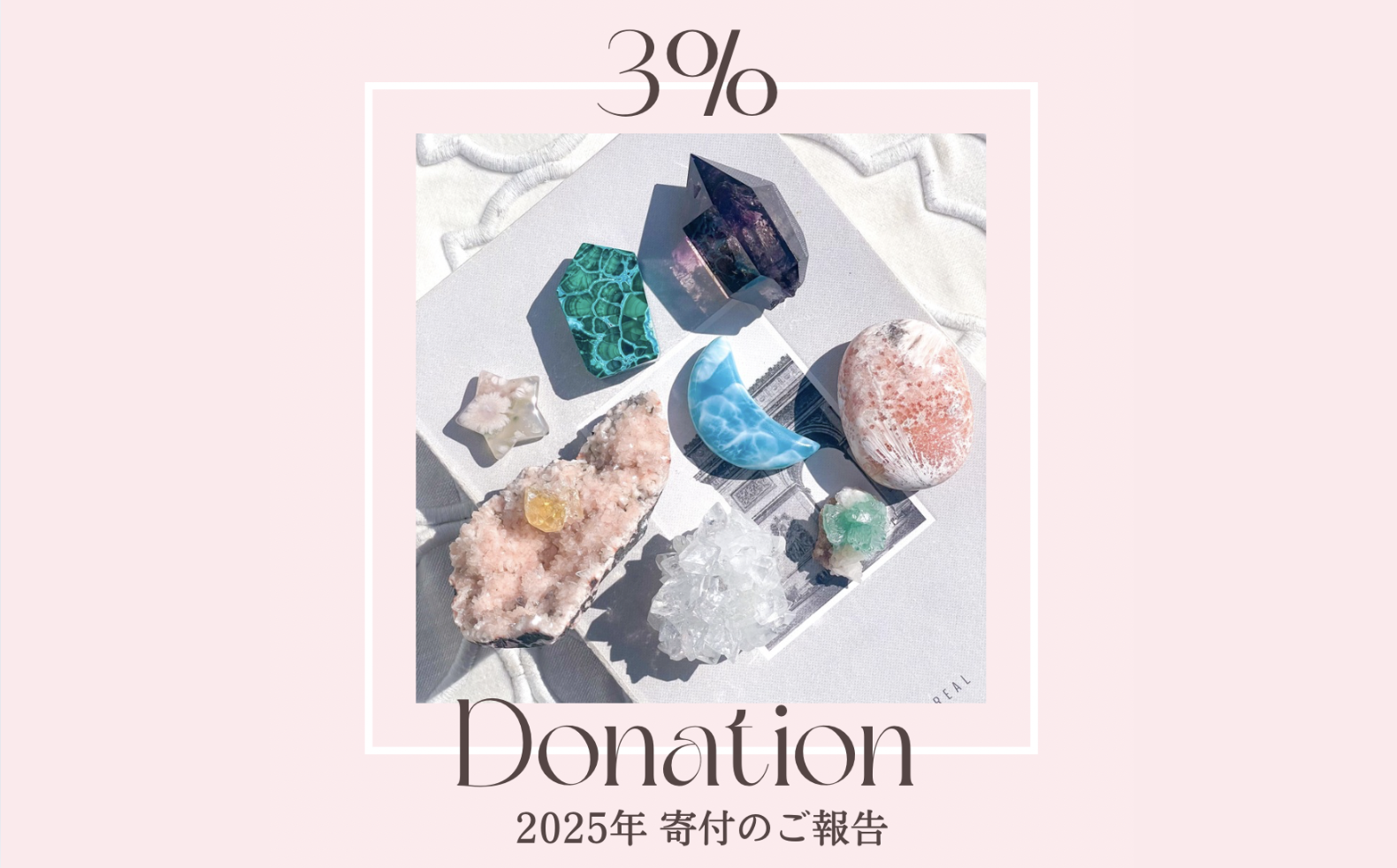 3%ドネーションのご報告 (2025年)