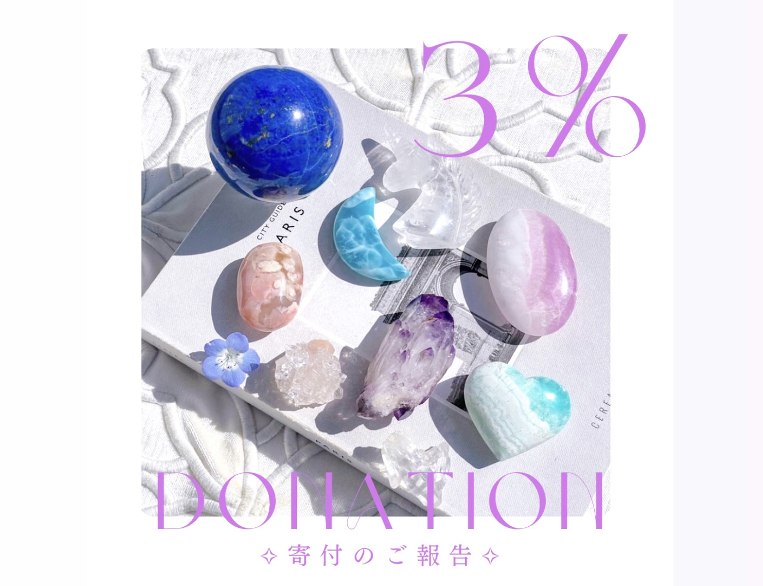 3%ドネーションのご報告 (2024年)