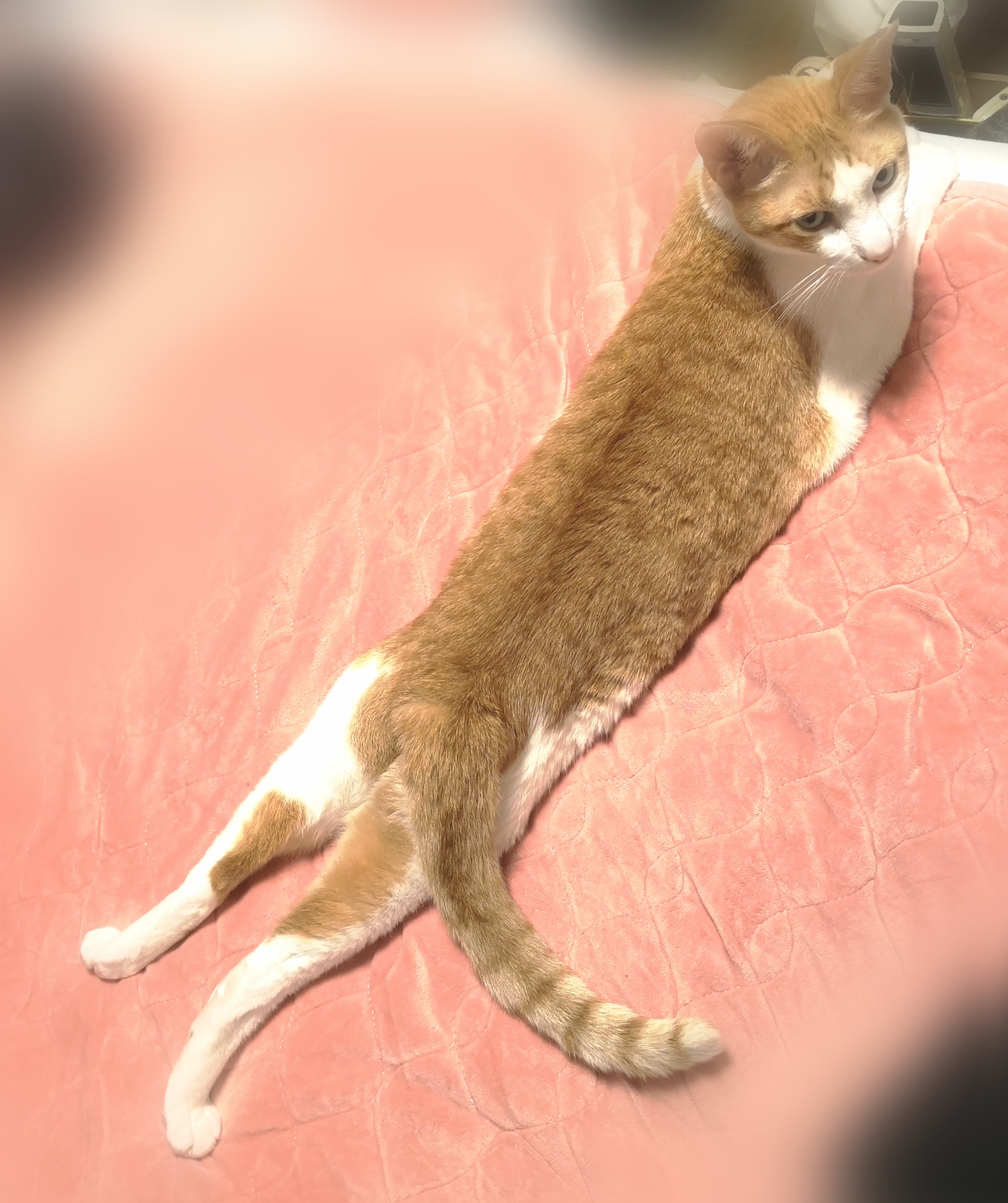 そろそろ
