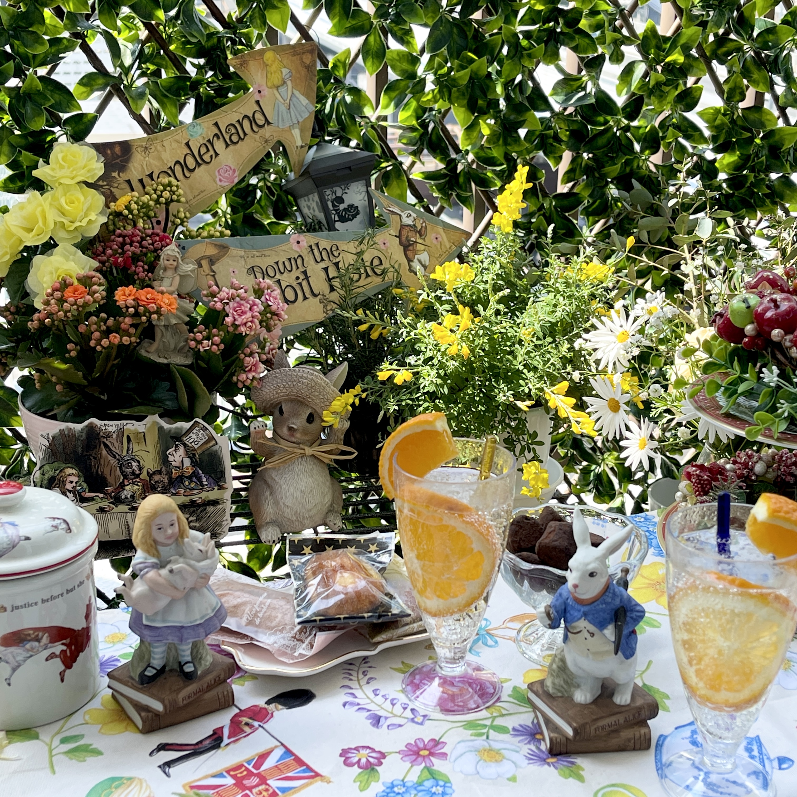 春のベランダにて・・・