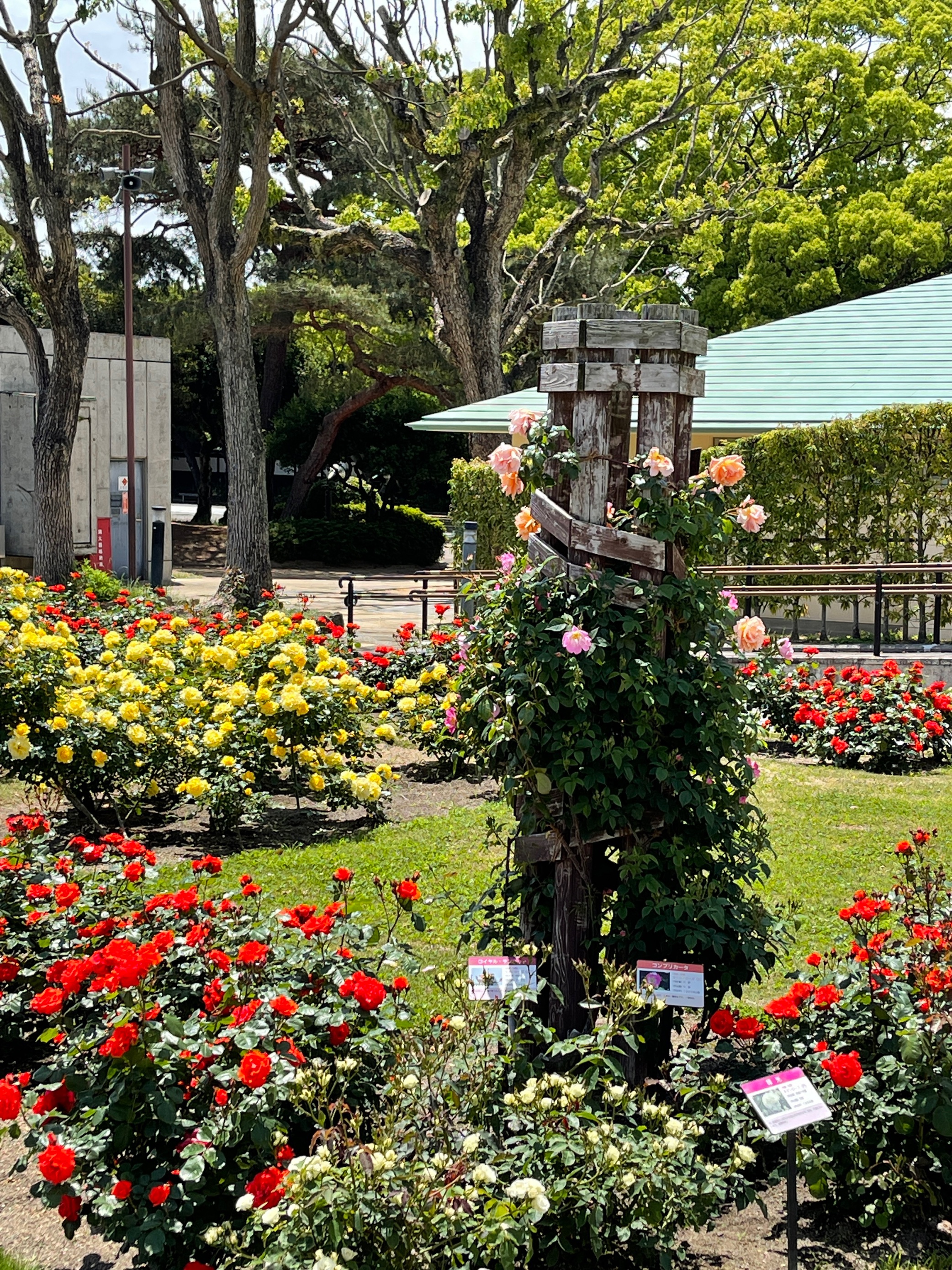 須磨離宮公園へ・・・