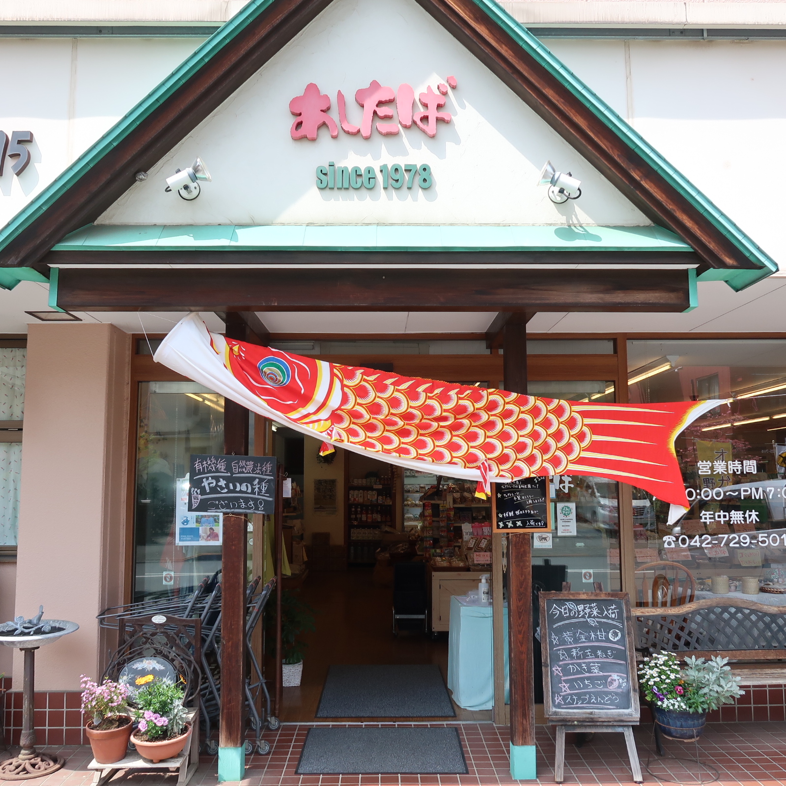 鯉のぼり