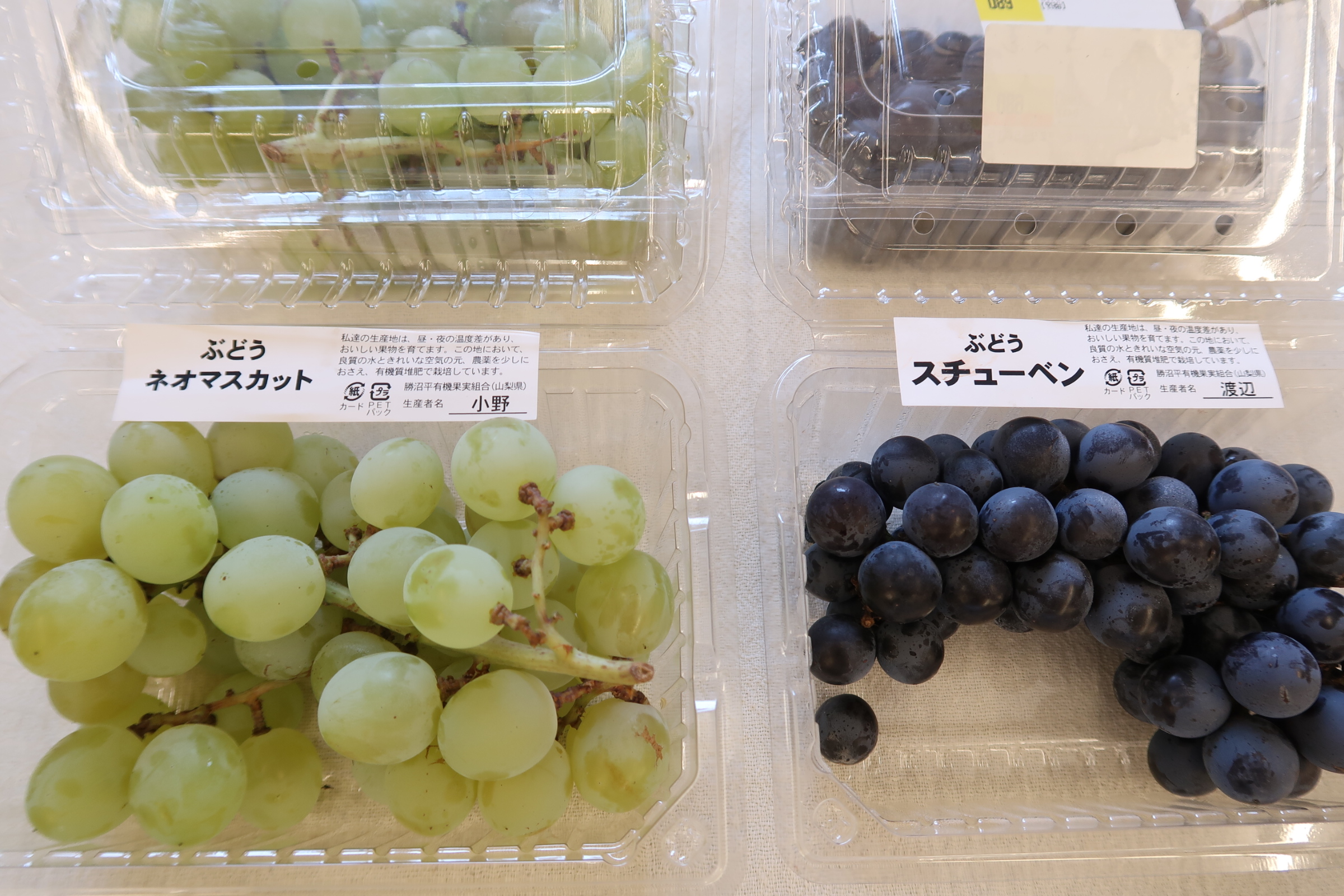 種有りぶどう