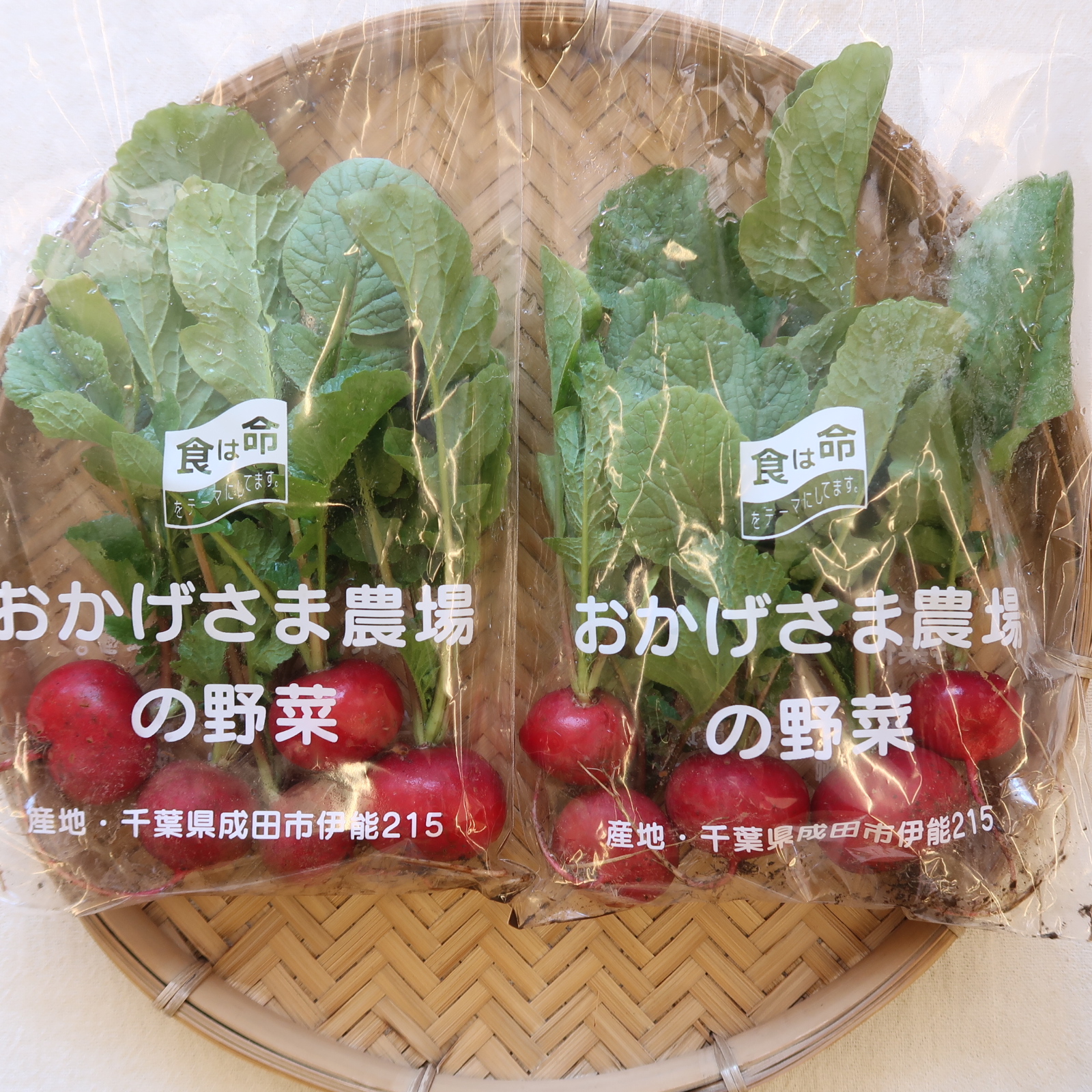 ラディッシュ入荷致しました