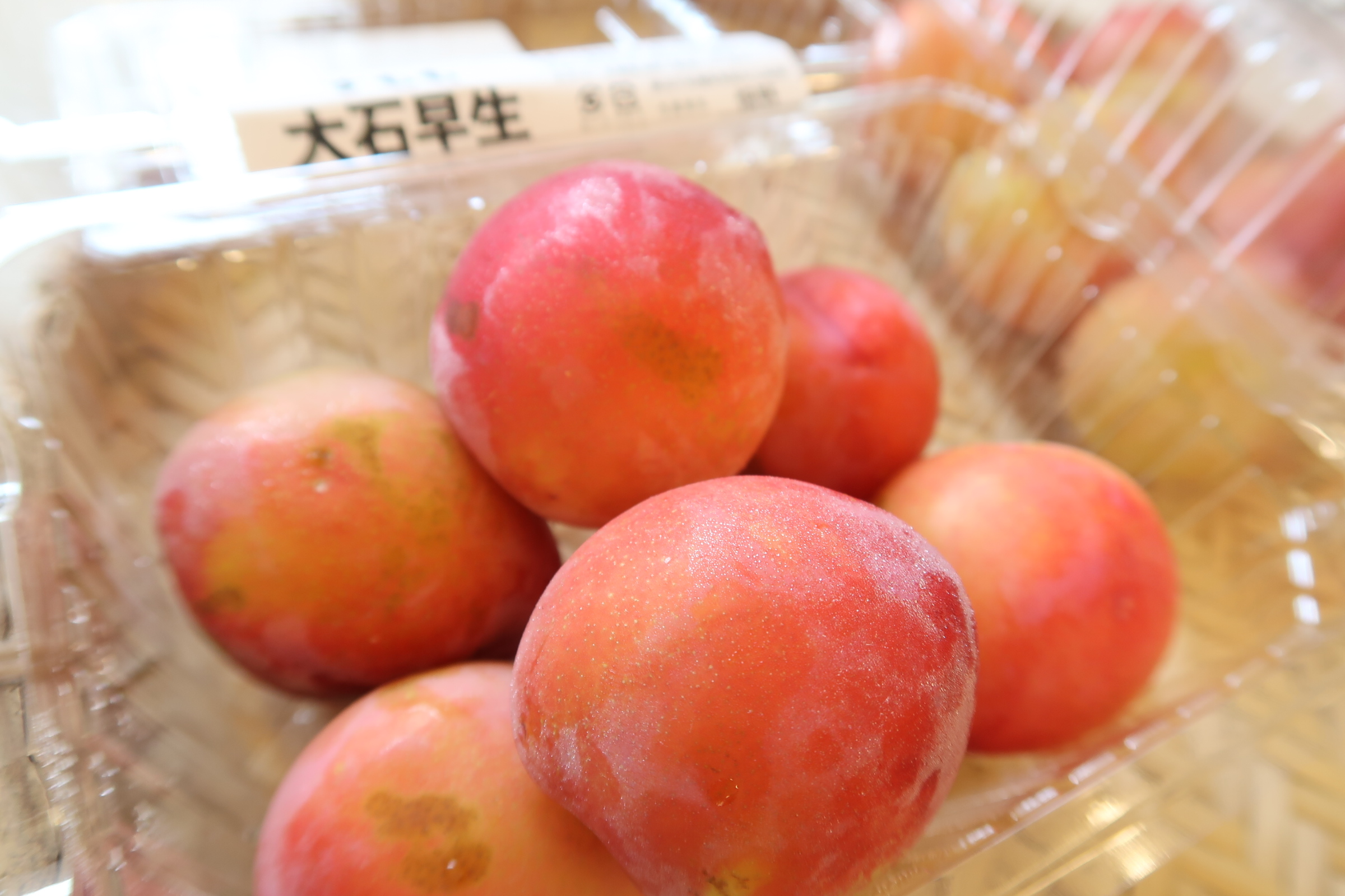 すもも（大石早生）入荷致しました