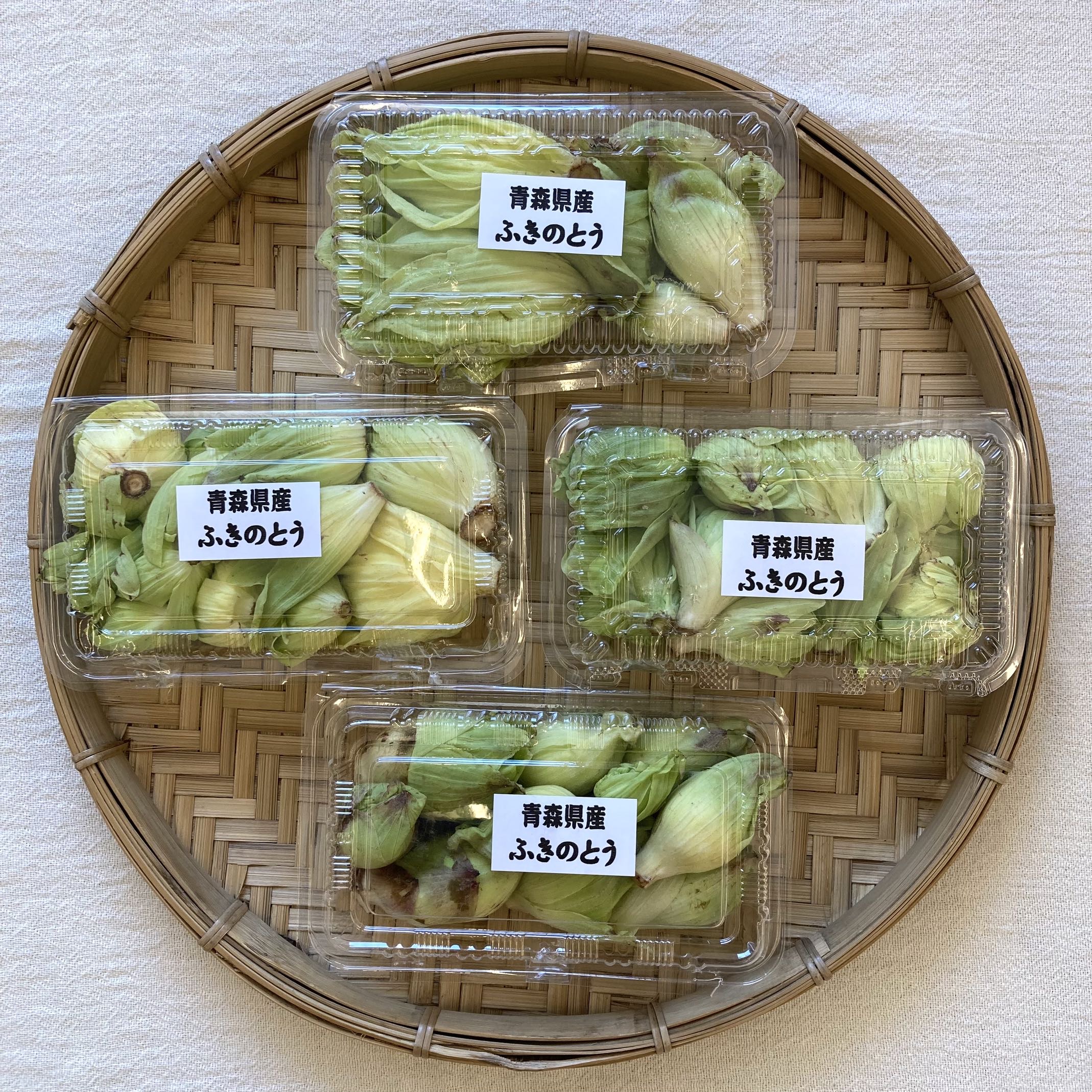 天然ふきのとう入荷致しました。