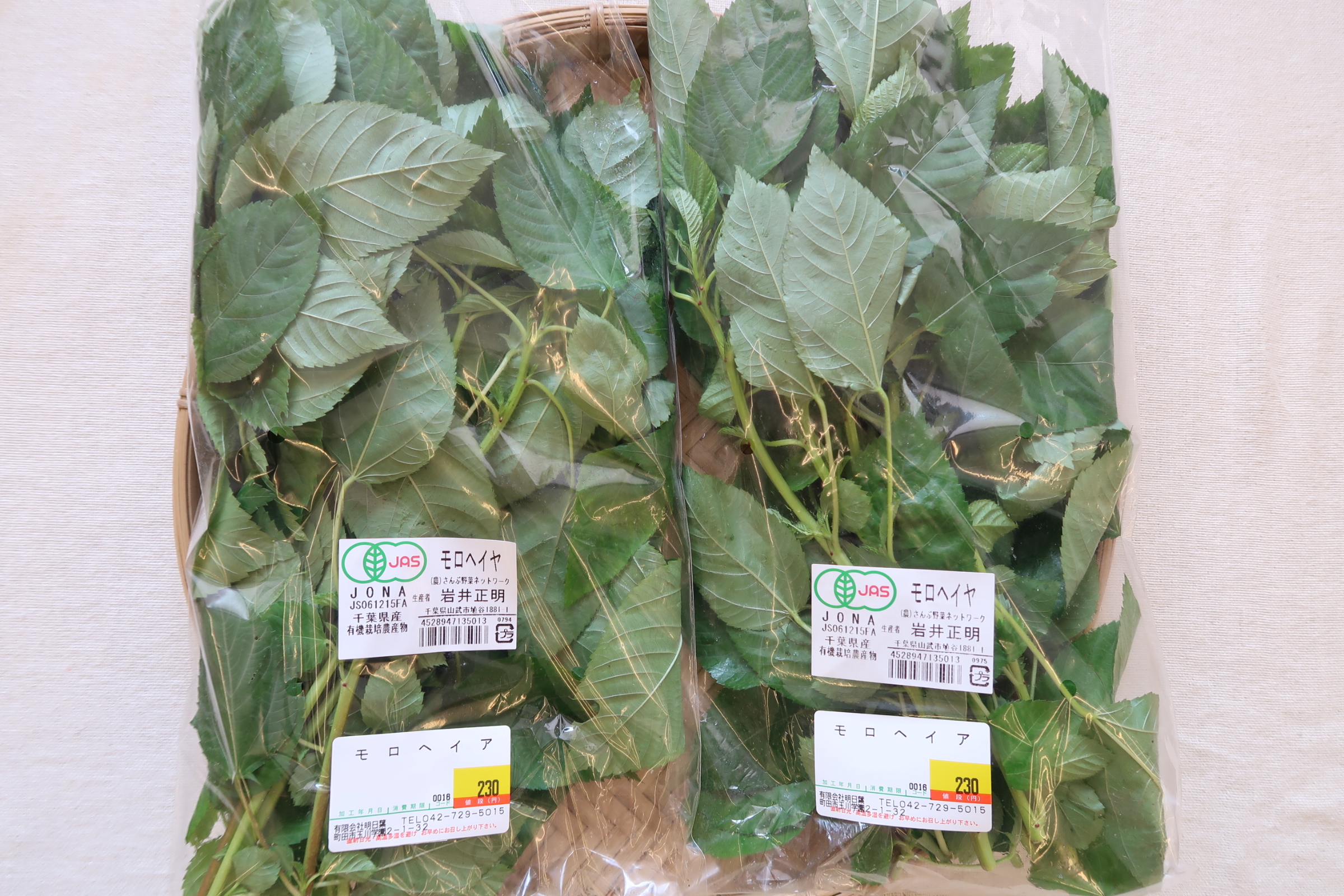 有機栽培モロヘイヤ入荷