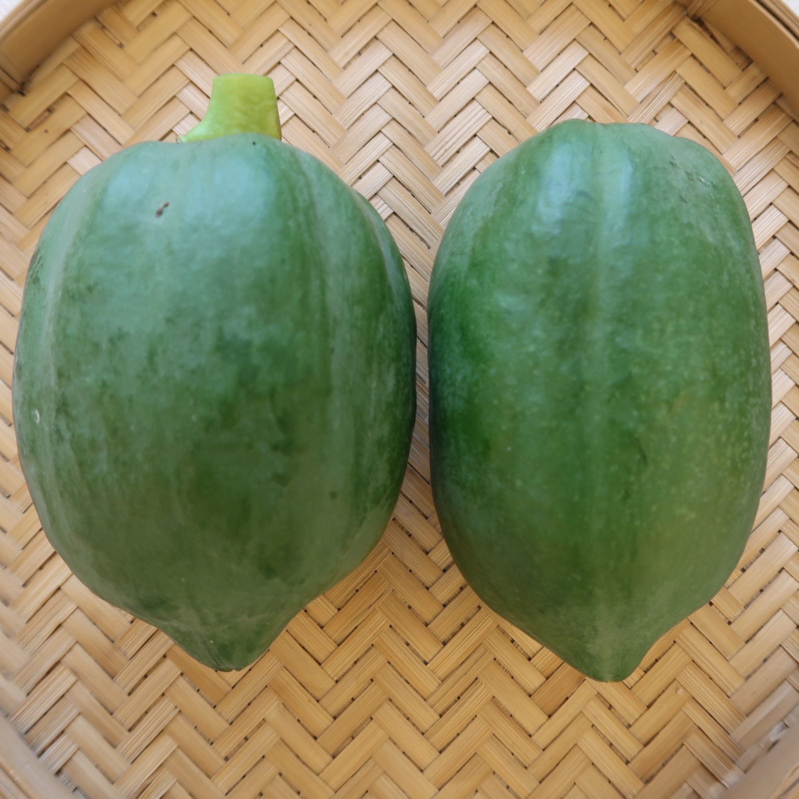 国産、青パパイヤ入荷致しました