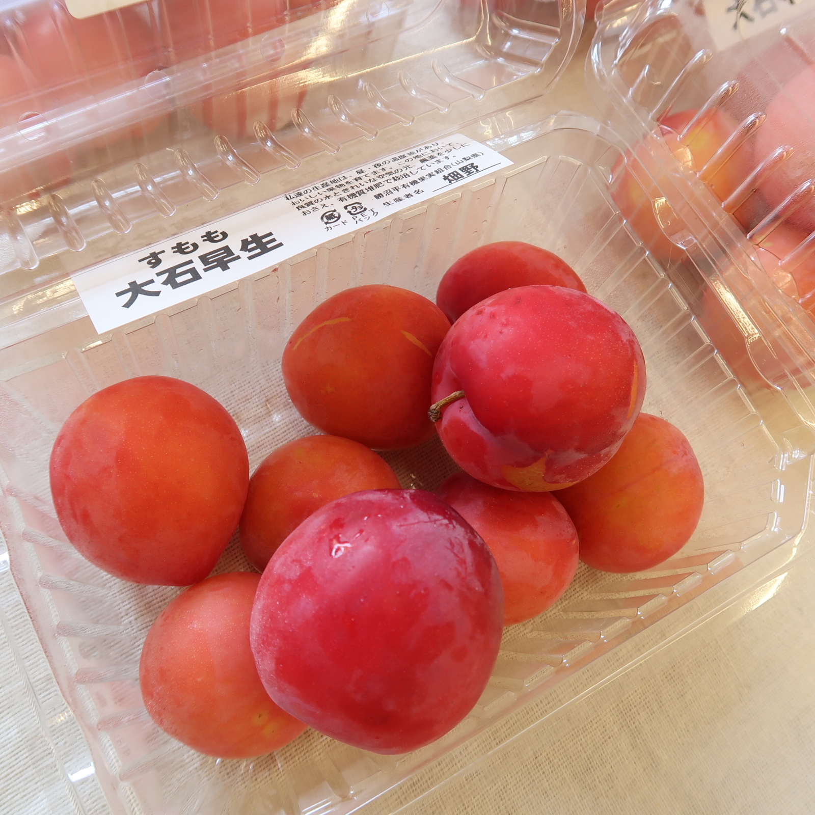 すもも、入荷致しました