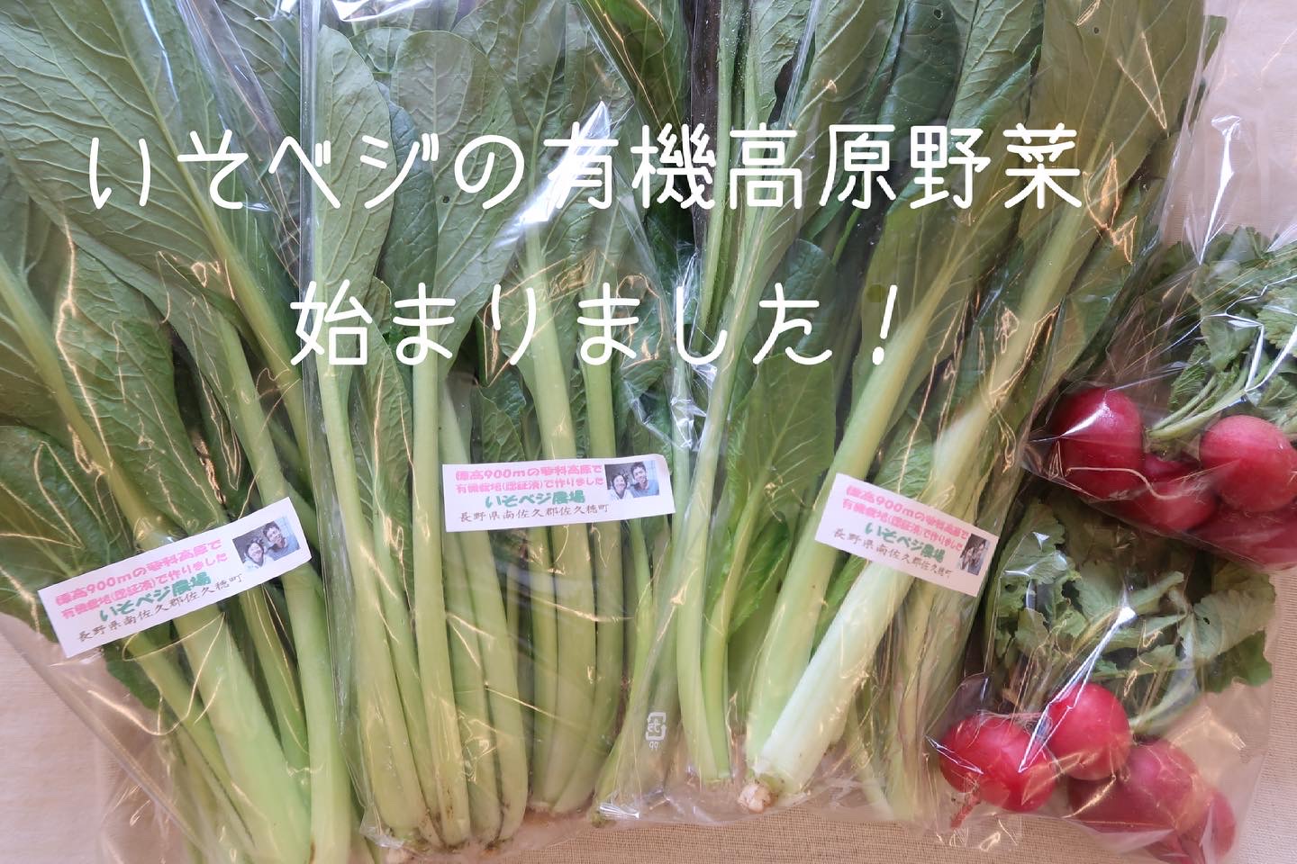 いそベジの有機高原野菜、始まりました