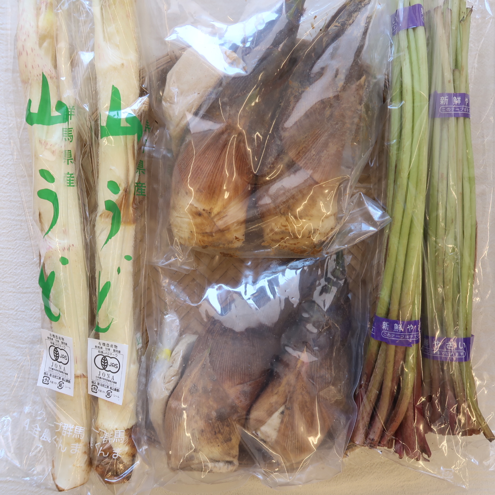 山菜各種、入荷です