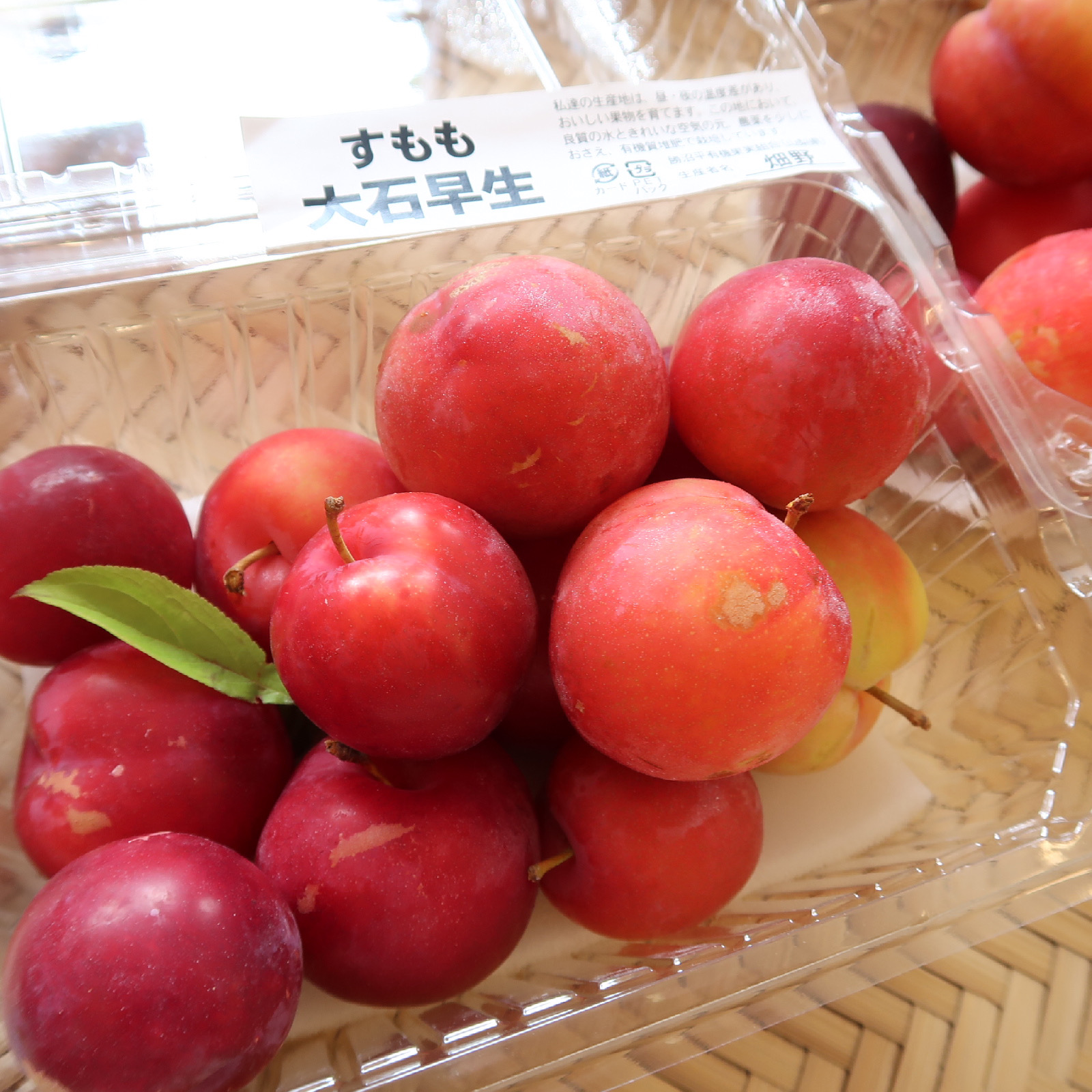 すもも大石早生、入荷