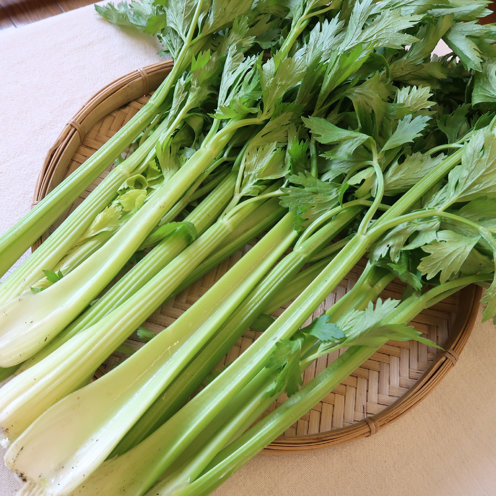 セロリ入荷致しました