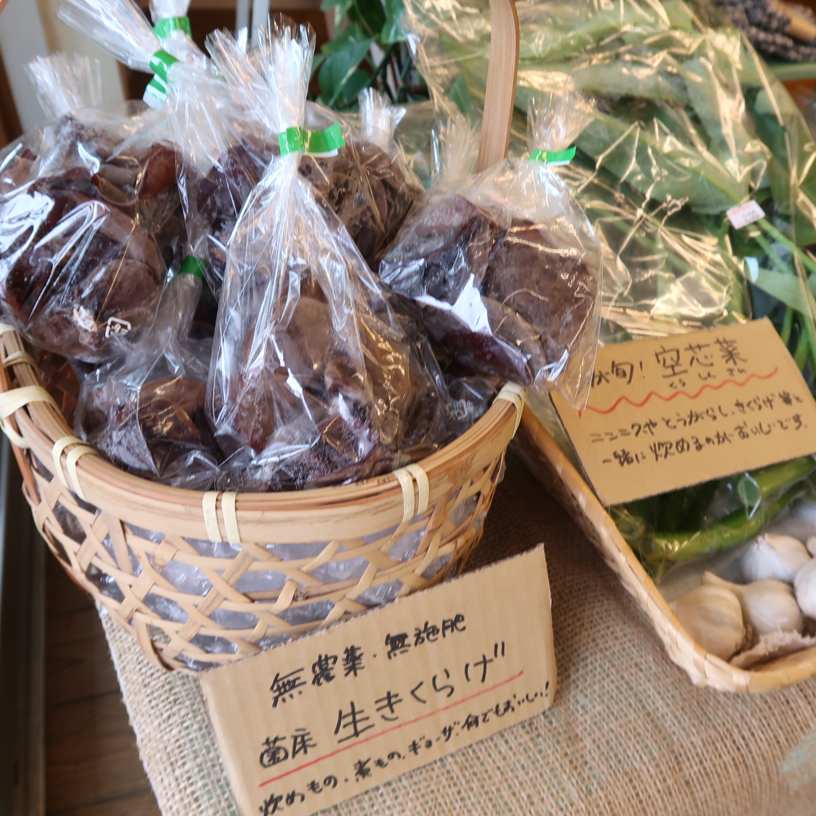 高松さんのきくらげ入荷です