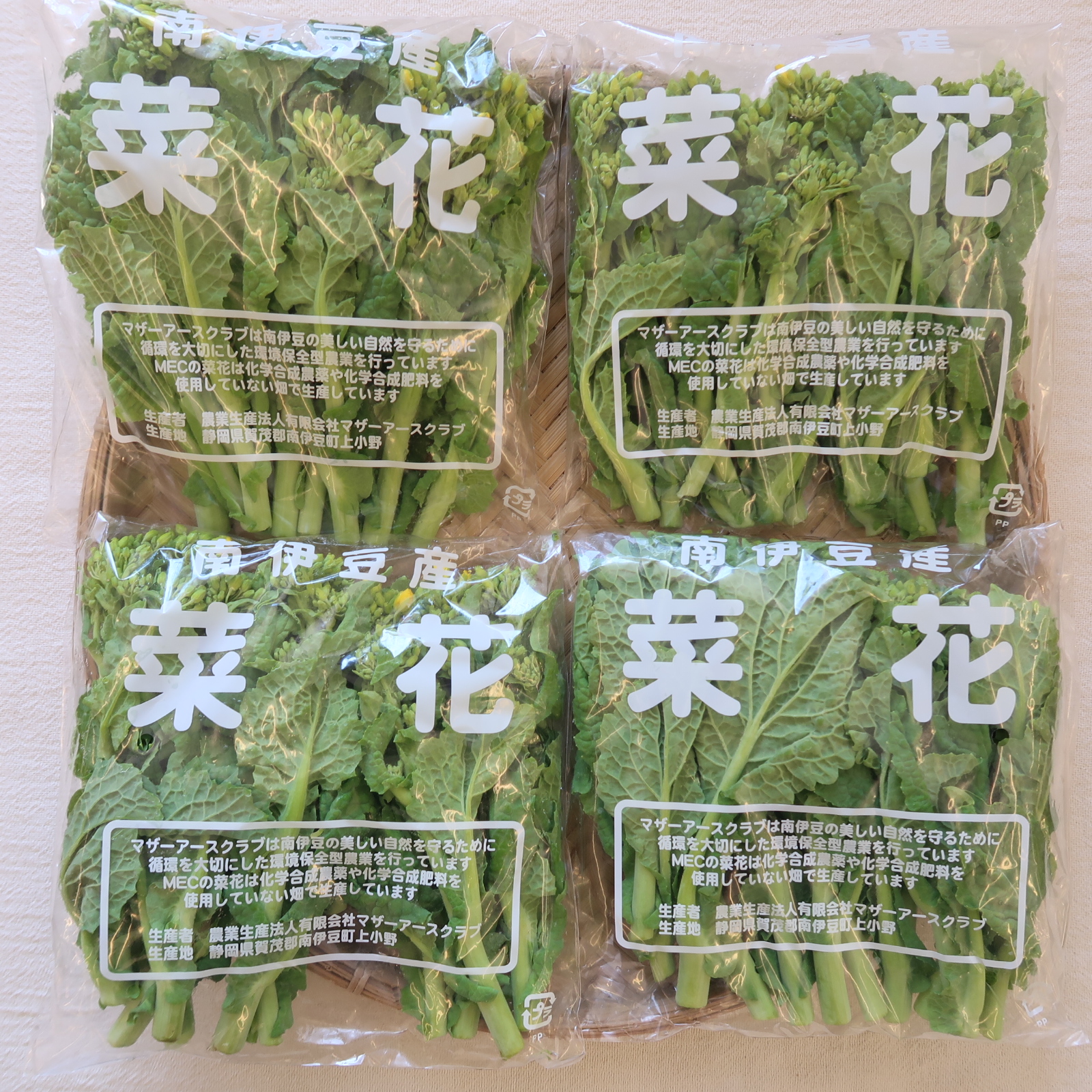 菜花、入荷致しました