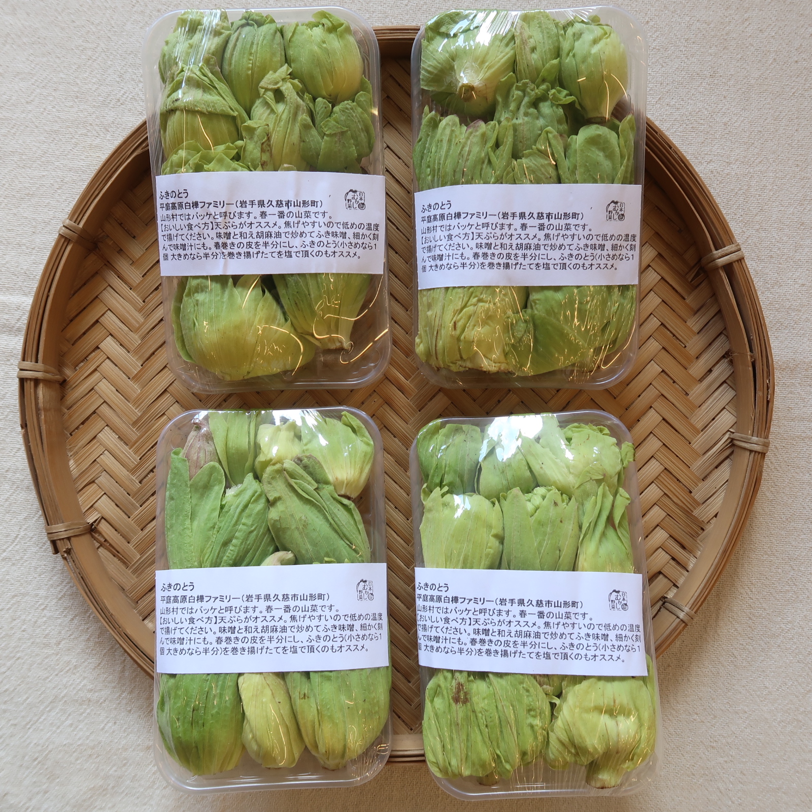 山菜ふきのとう、入荷です