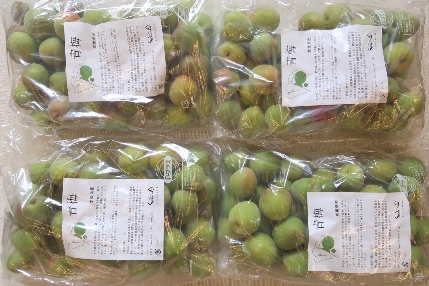 青梅、入荷しています