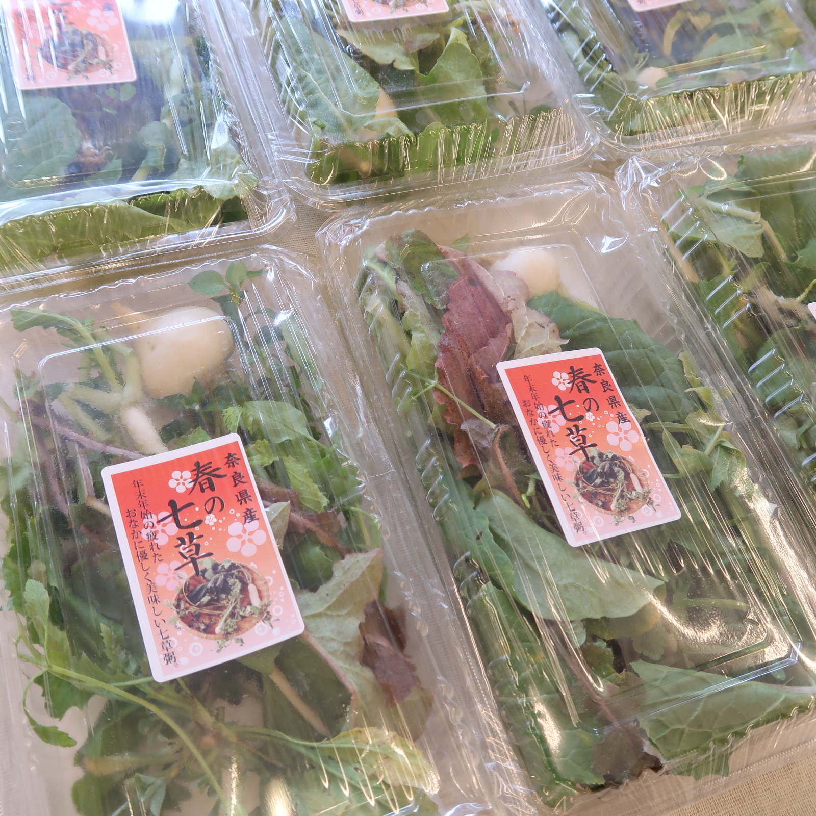 七草セット入荷しました